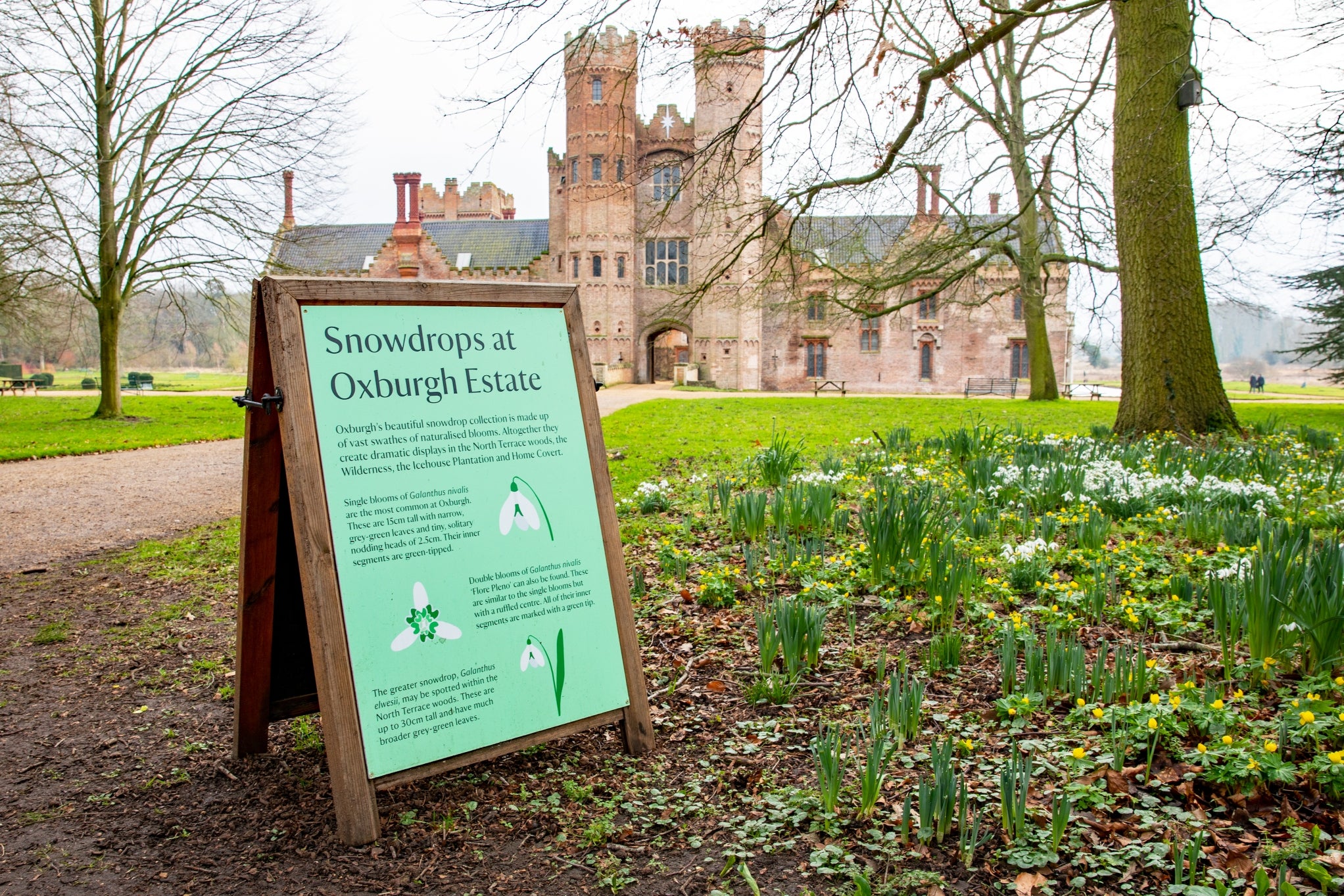 A wooden a frame board featuring details of the snowdrops at Oxburgh Estate. The gatehouse is visible in the background.