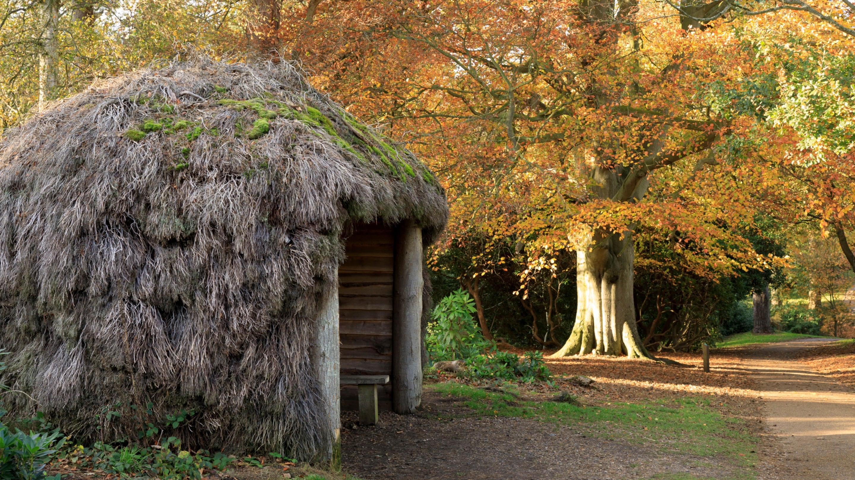 The Ling Hut at Sheringham Park, Norfolk