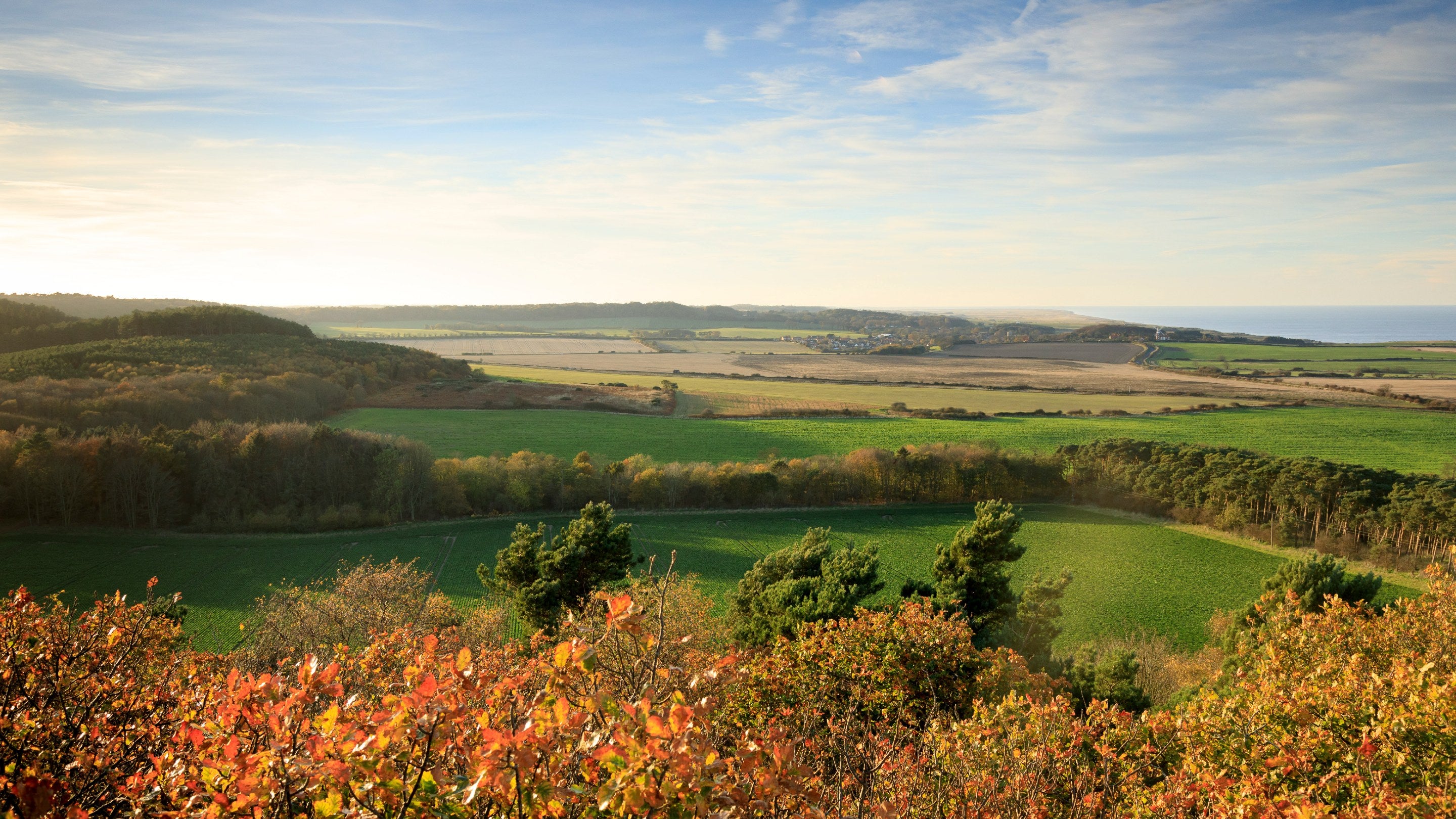 View from the Gazebo, Sheringham Park, Norfolk