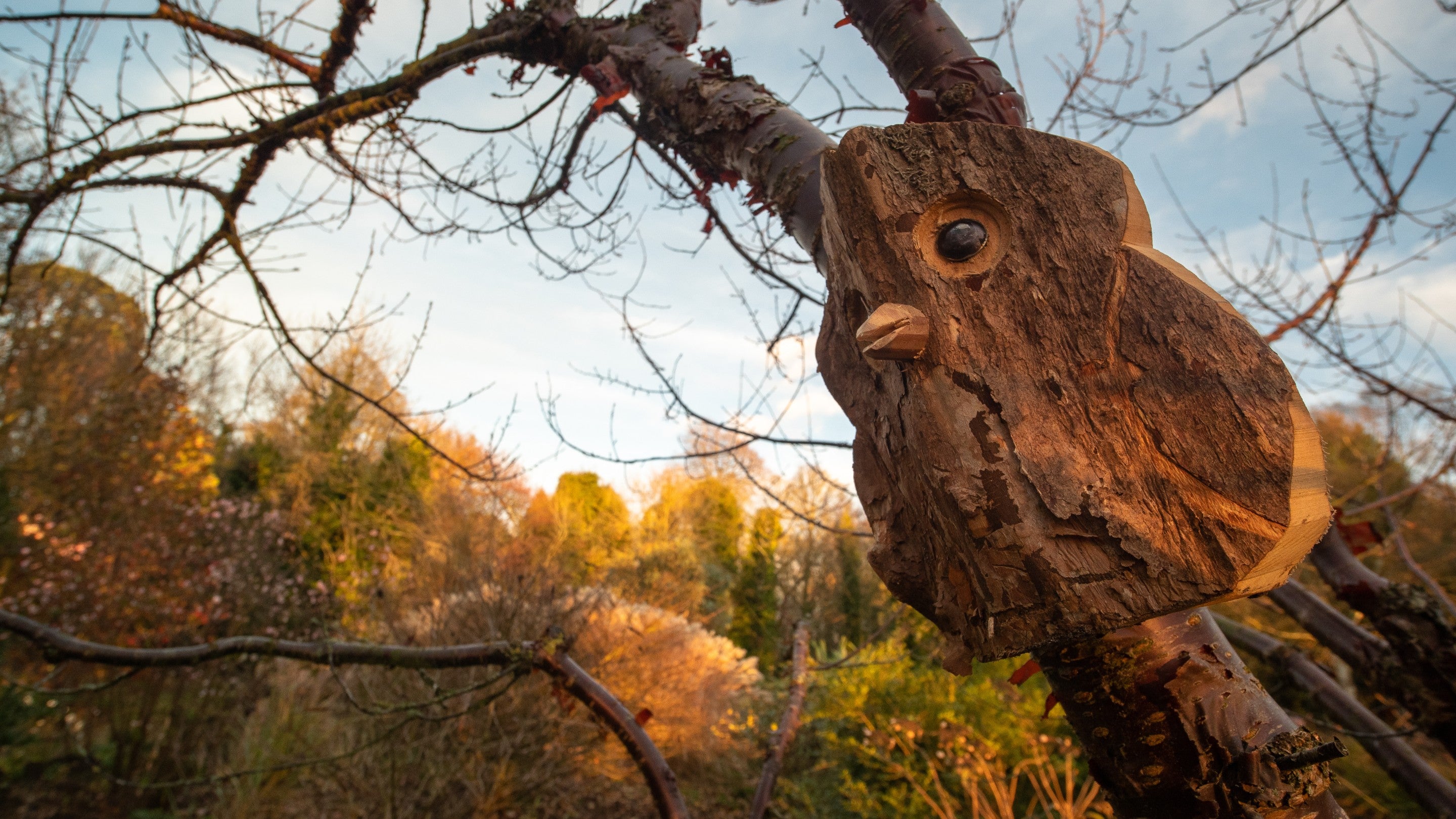 A wooden owl in the bower at Sheringham Park, Norfolk