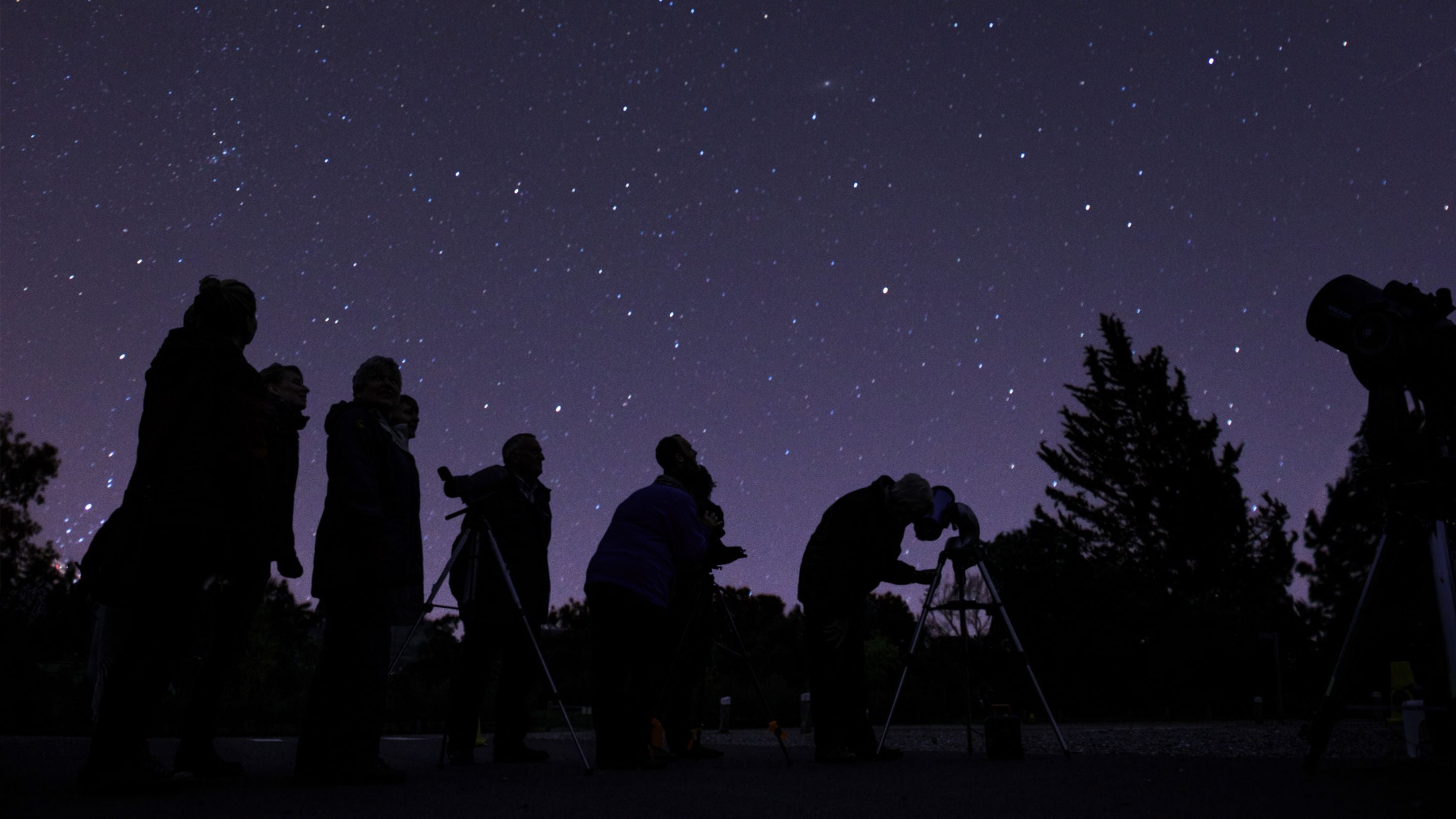 Visitors enjoying stargazing evenings at Tyntesfield, North Somerset