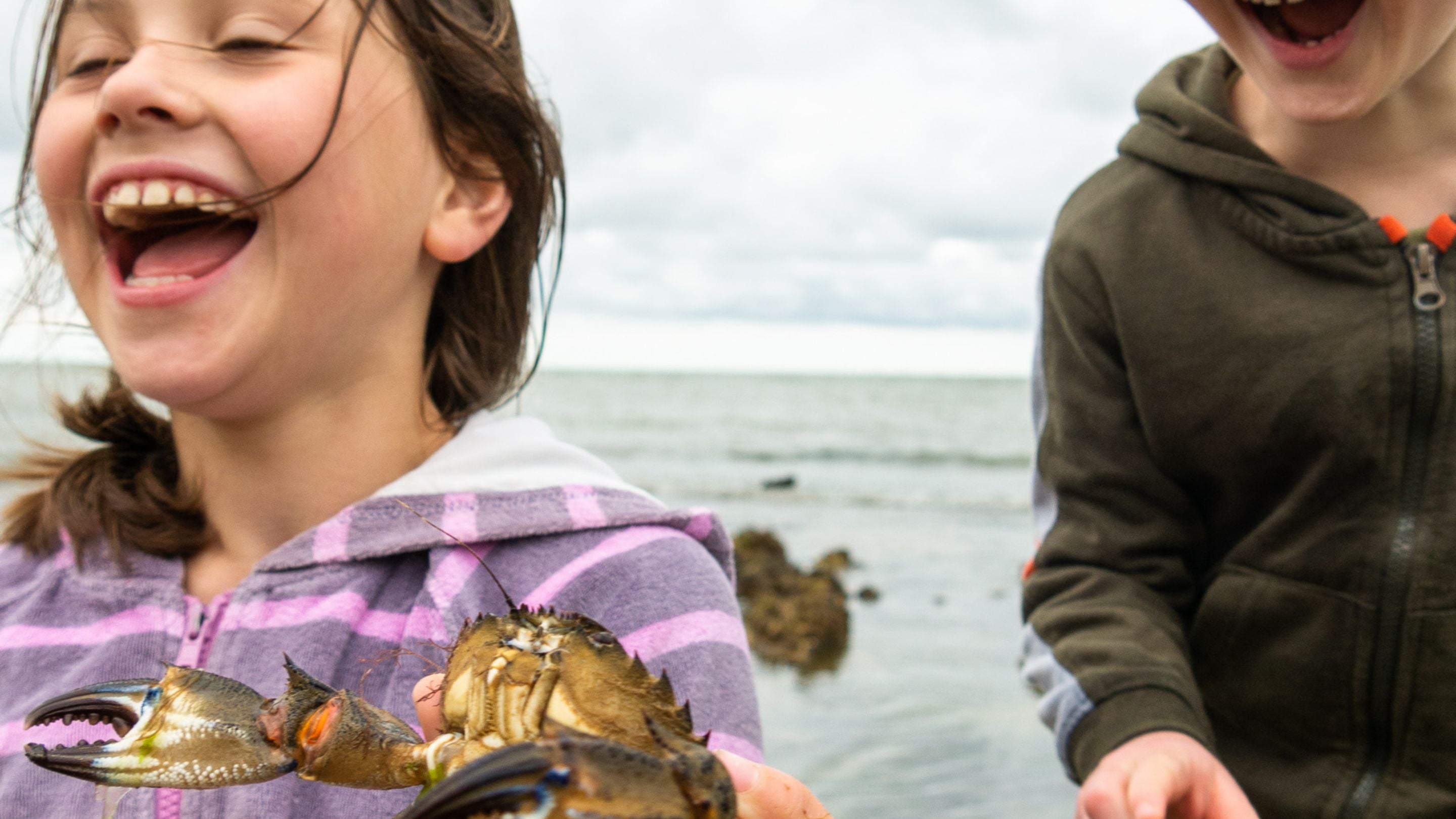 Catching crabs at Sheringham Park, Norfolk.