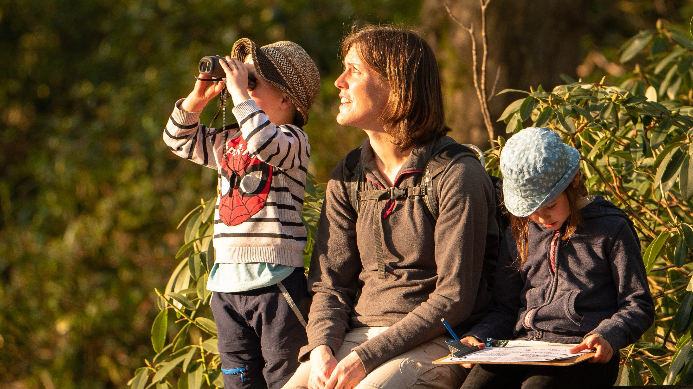 Family sitting in the early evening June sun at Sheringham Park in Norfolk