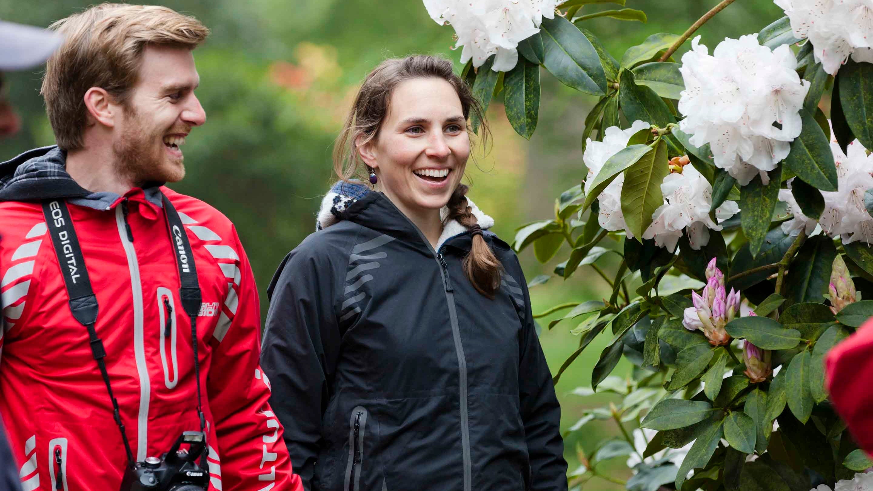 Visitors standing by a rhododendron bush at Sheringham Park, Norfolk