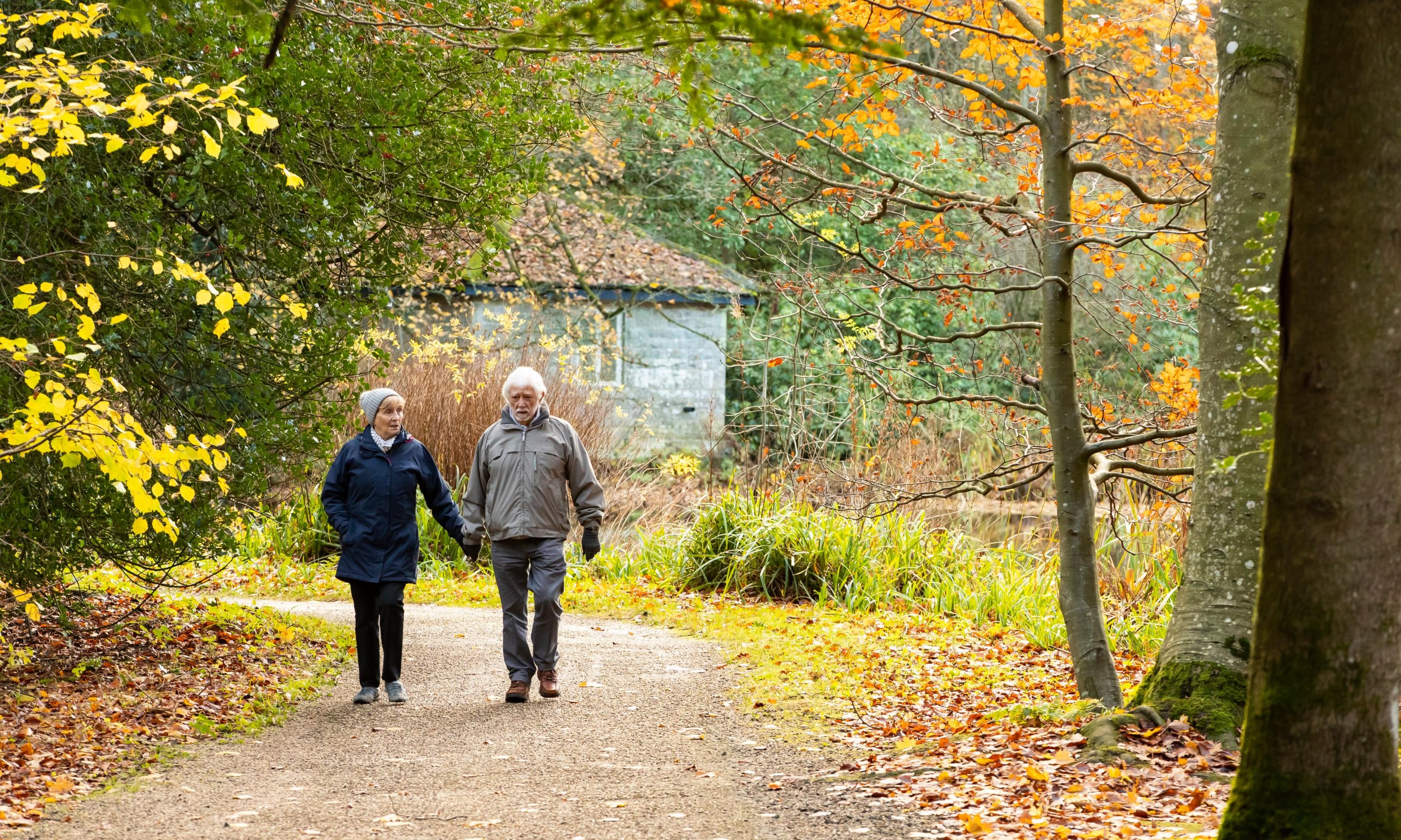 Visitors in the garden in autumn at Wallington, Northumberland