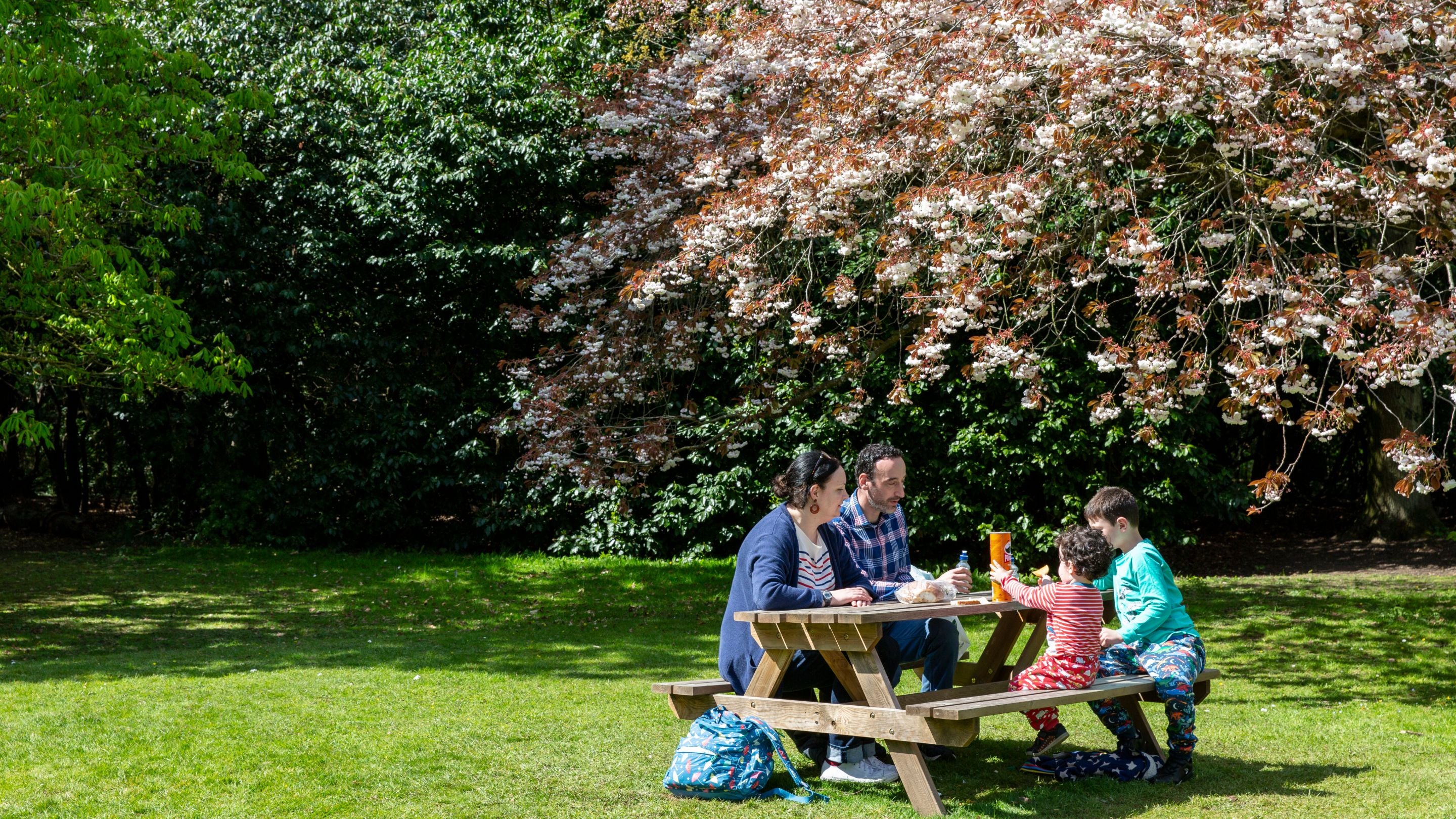 Family picnicing under blossom tree at Ormesby Hall, North Yorkshire