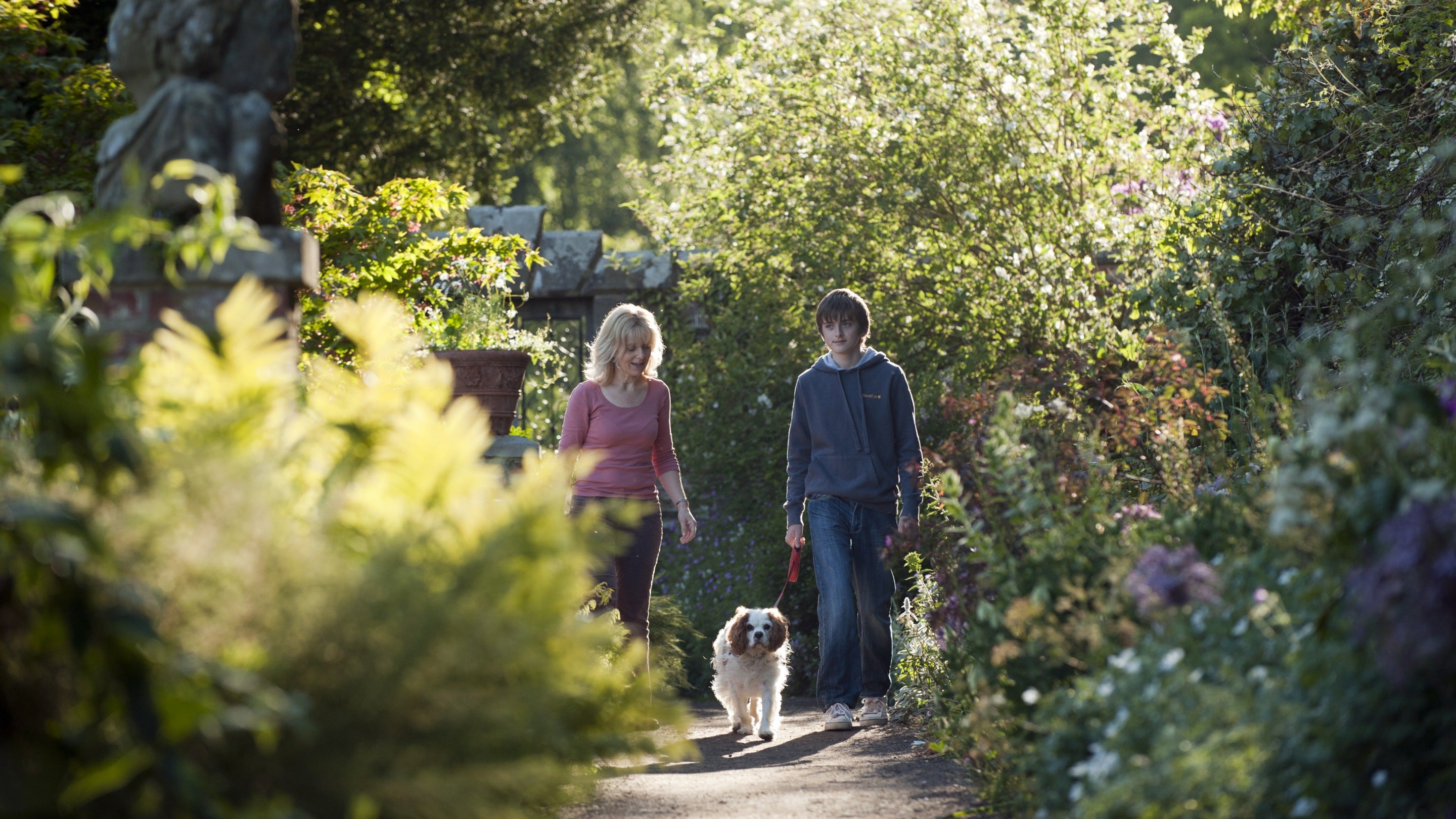 Visitors walking their dog in the garden at Wallington, Northumberland