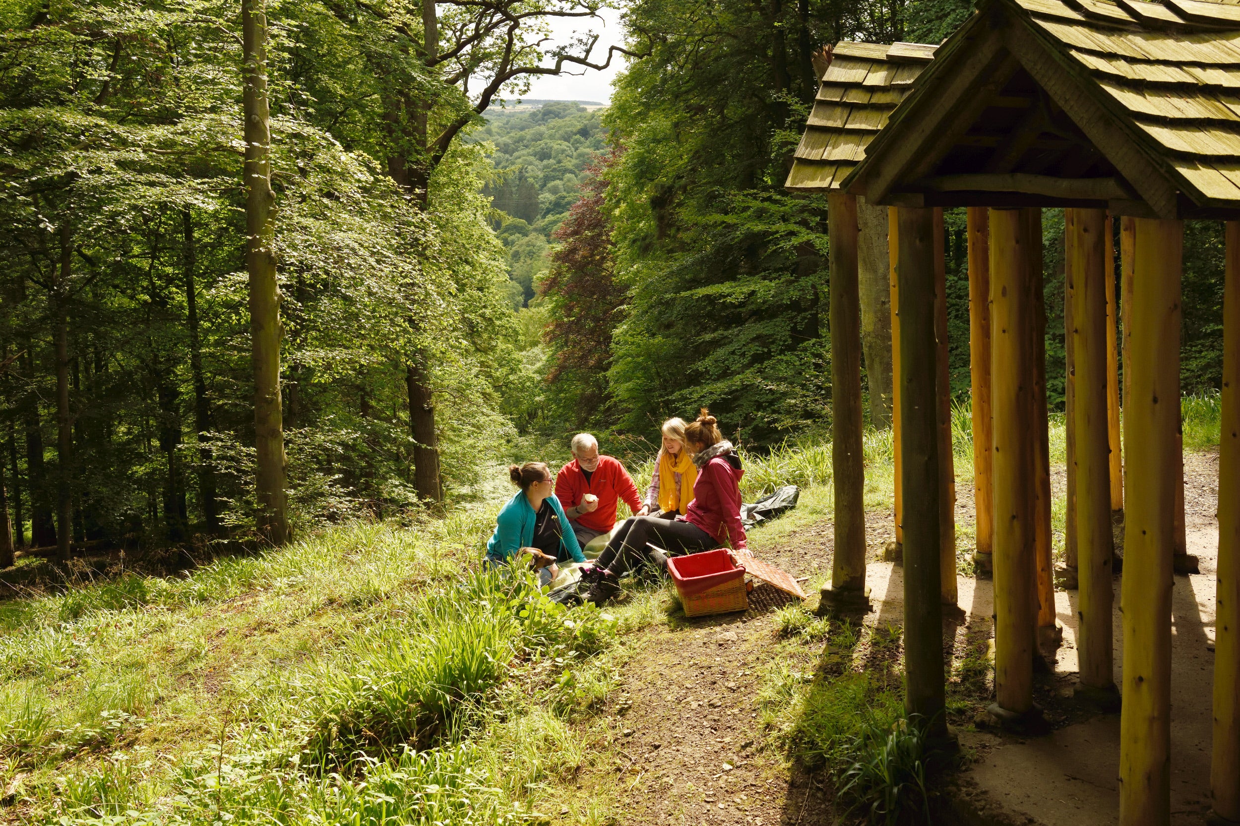 People picnicking at allen banks and starward gorge