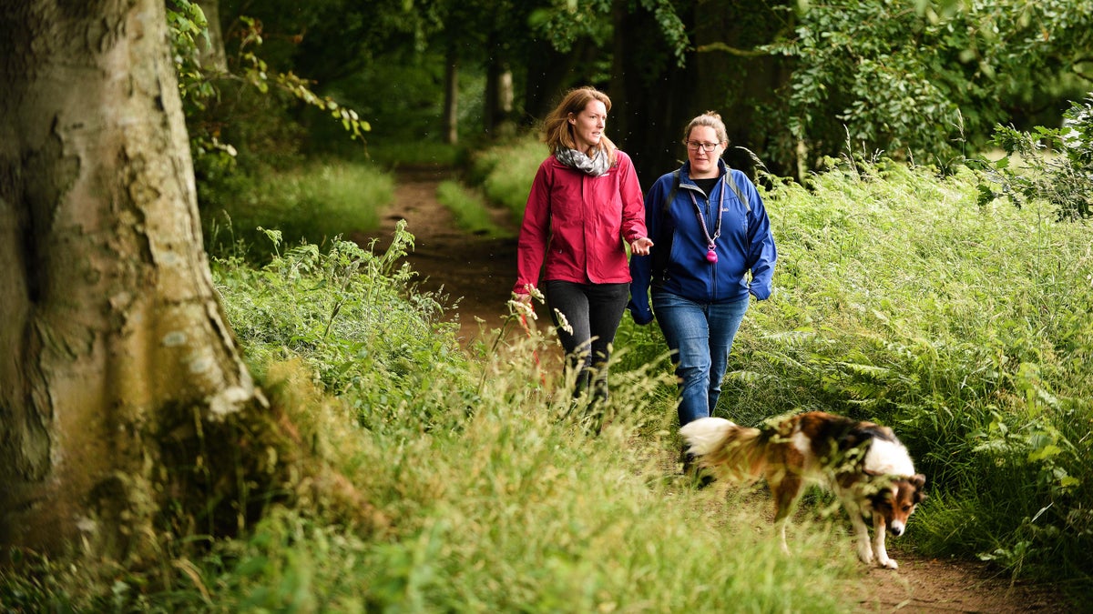 Exploring Allen Banks & Staward Gorge - National Trust