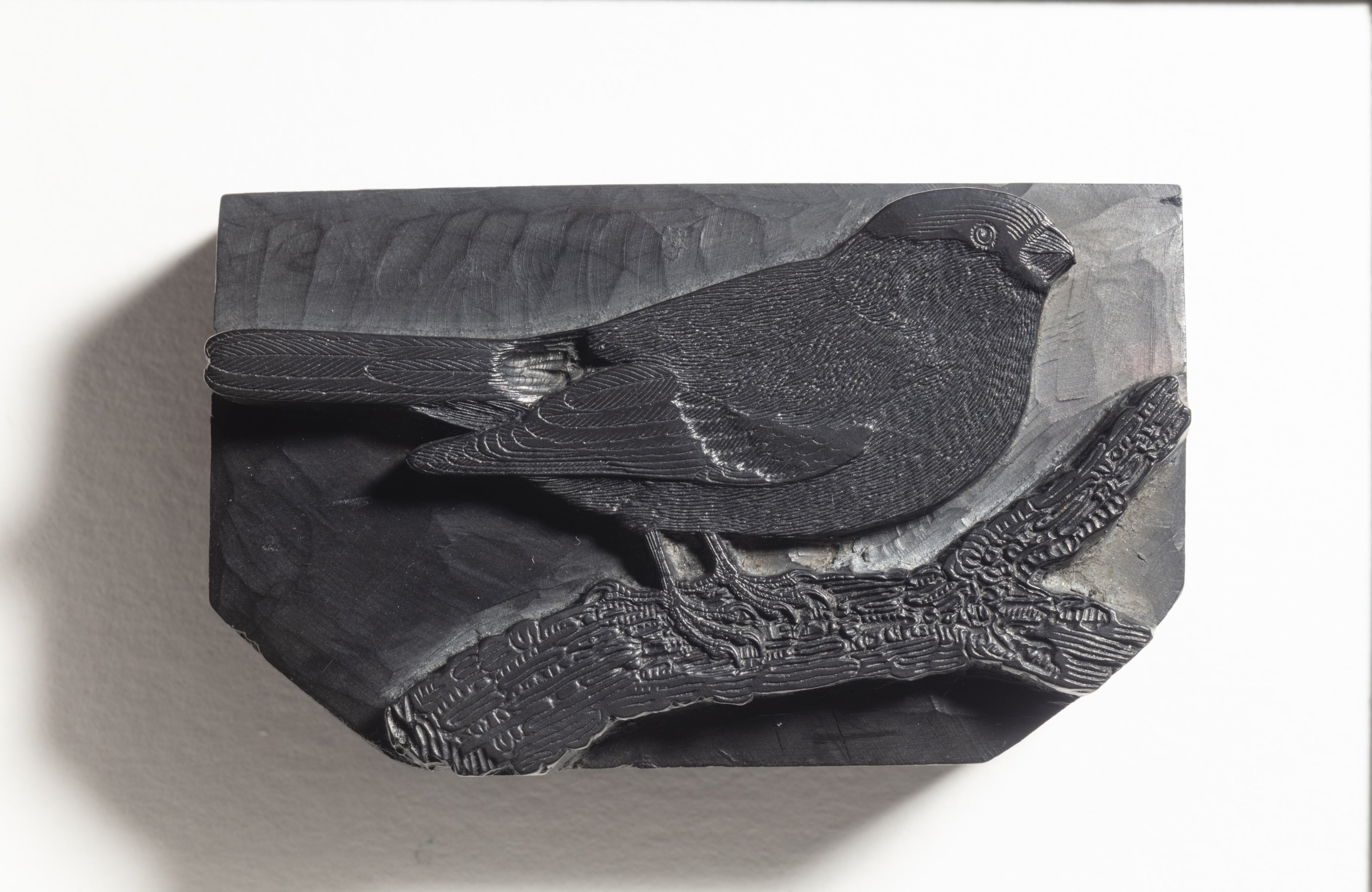 Boxwood printing block engraved with the image of a Bullfinch, used by Thomas Bewick