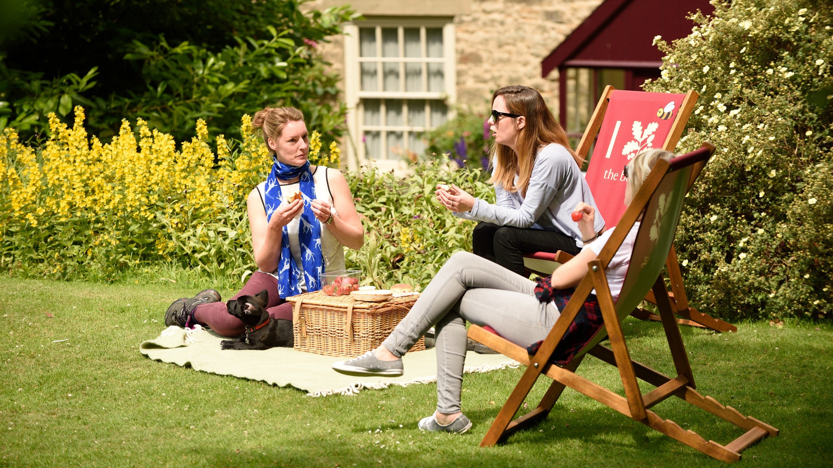 Visitors eating a picnic from a hamper at Cherryburn, Northumberland