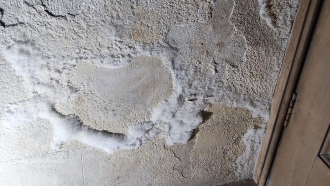 The development of deteriorating salts on the brickwork inside Cragside House