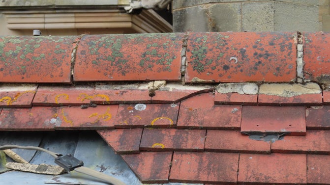 A close up of terracotta, semi-circular ridge tile on Cragside's roof showing a loss of lime mortar which holds the tile in place.