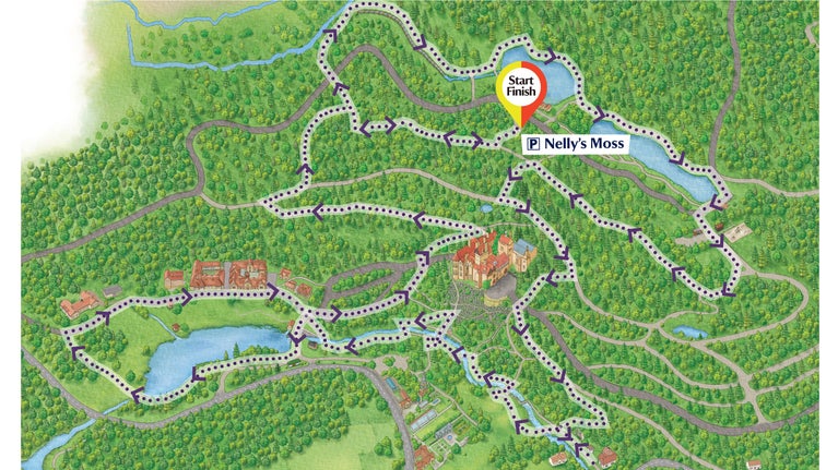 A detail of Cragside's map showing the waymarked route for the Hydro-power Trail by purple dots and arrows.