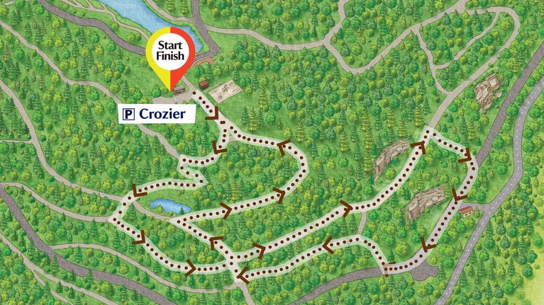 A detail of Cragside's map of the grounds showing the Rocky Ramble by brown dots and arrows.