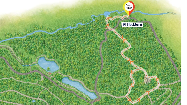 A map of Cragside's grounds, demonstrating the Wetland Walk by orange dots