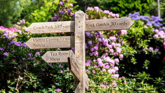 A wooden walking sign in front of purple flowers, with arrows pointing to difference places in multiple directions.