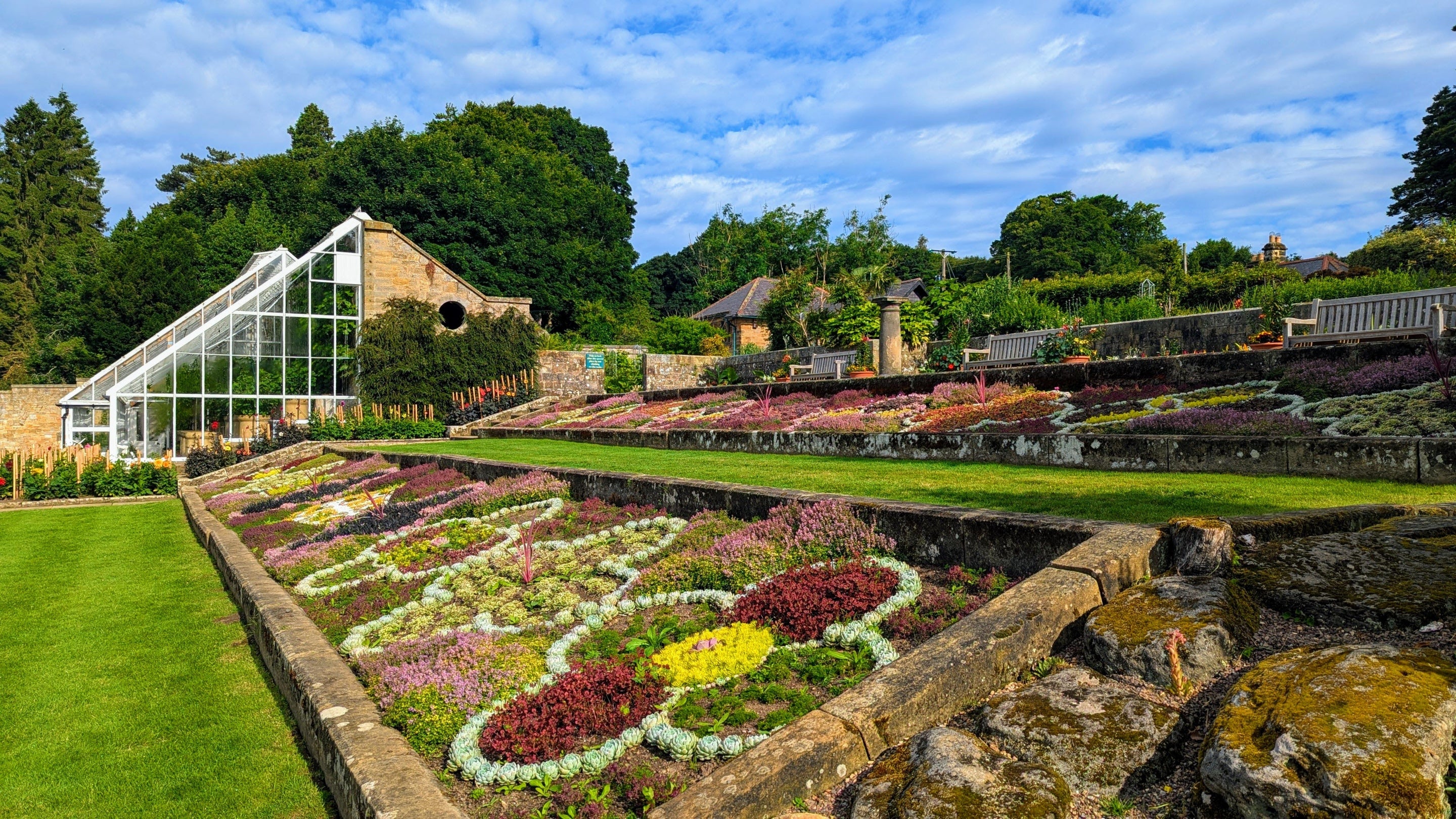 The Formal Garden carpet bedding laid out in sloping beds in a repeated quatrefoil pattern. It's a sunny, summer day and the Orchard House is in shot at the end of the beds.