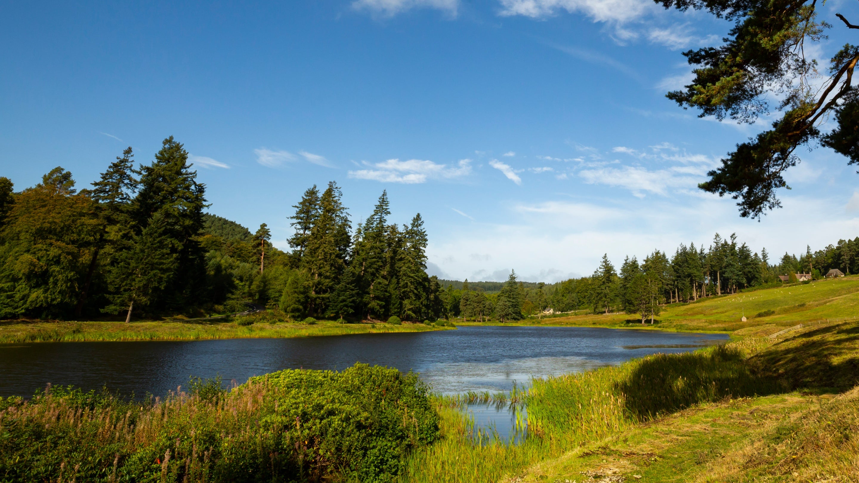A view of Tumbleton Lake at Cragside on a sunny day during the summer.