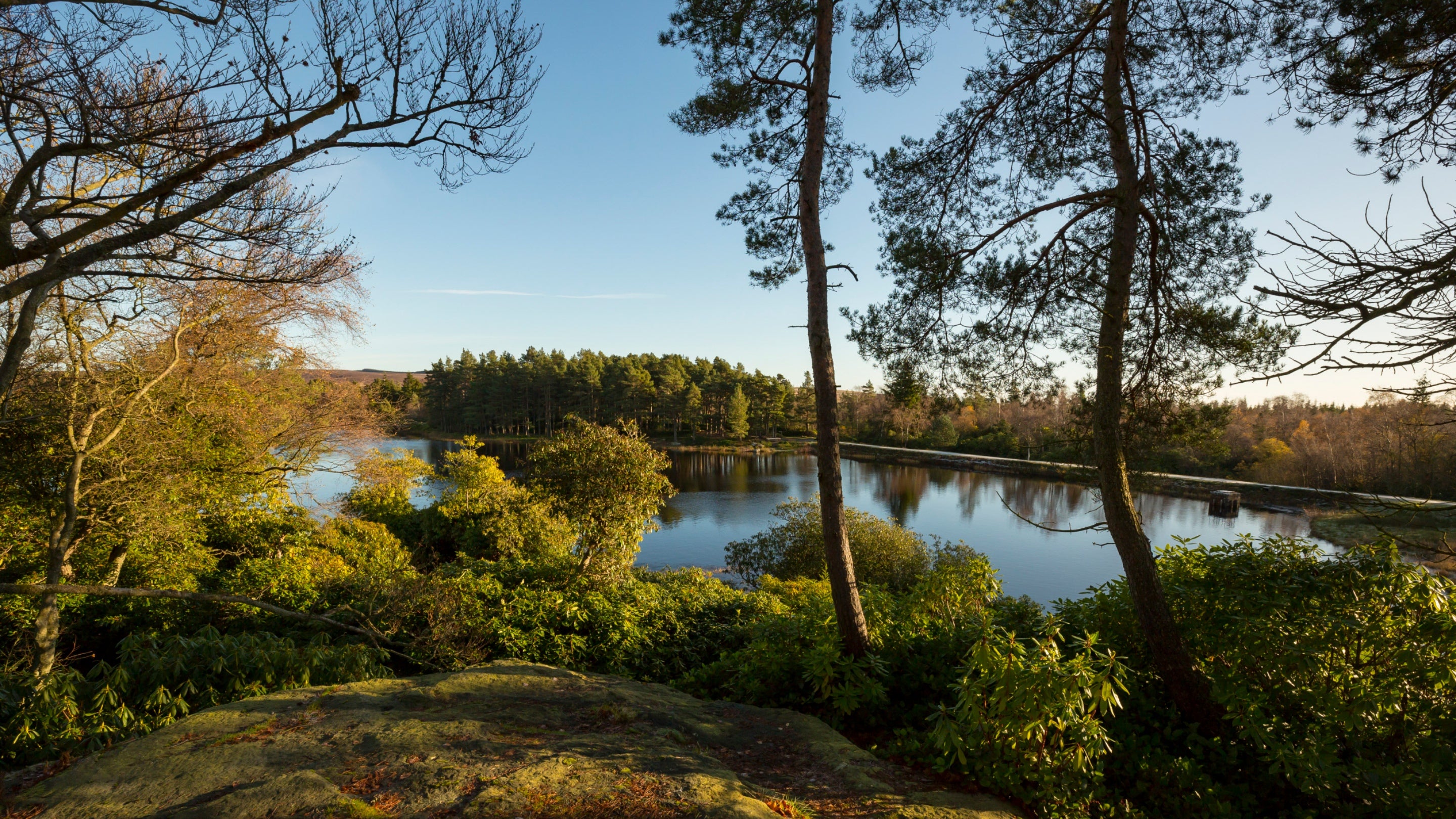Nelly's Moss Lakes on an autumn day. The sun is shining low in the blue sky and the part of the lake in shot is surrounded by trees and rhododendron.