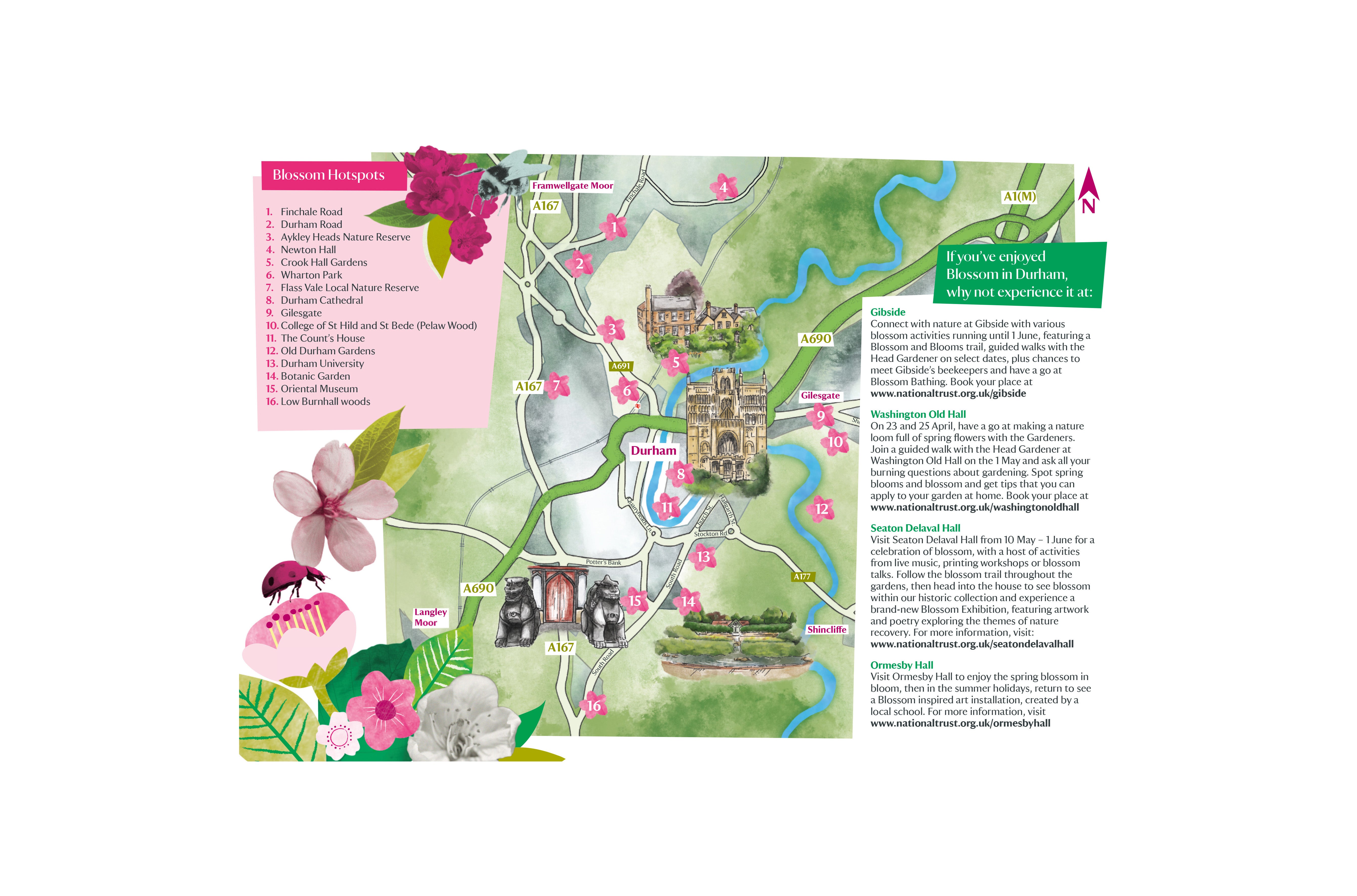 Map of Durham showing blossom icons over key areas to see blossom.