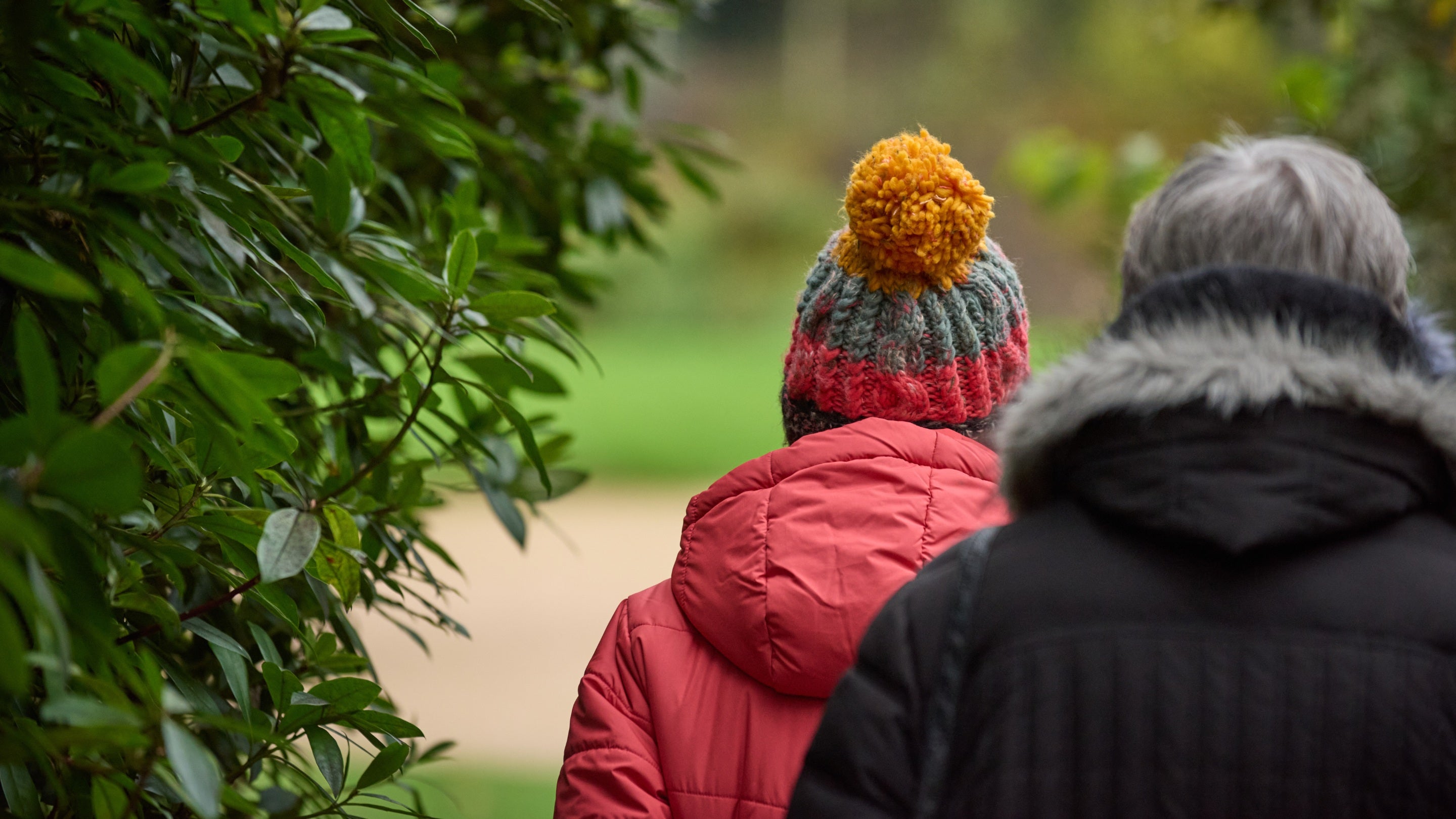 Head and shoulders of two people from behind, walking through a garden, past an evergreen hedge. The day is dull, they're wearing thick winter coats, one has a colourful woollen bobble hat on.