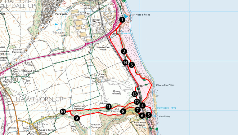 OS map showing a route from Nose's Point to Hawthorn Dene and back