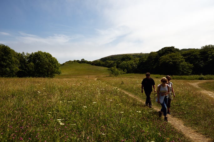 Three people walking along the a grassy path through a meadow in the sunshine.