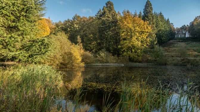 The Octagon Pond and Banqueting House in autumn