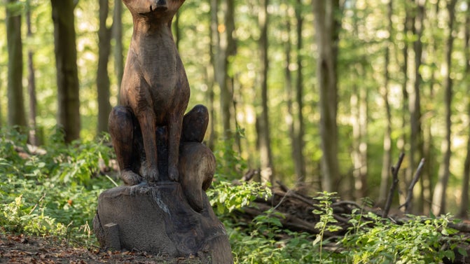 A carved wooden fox on the sculpture trail at Gibside