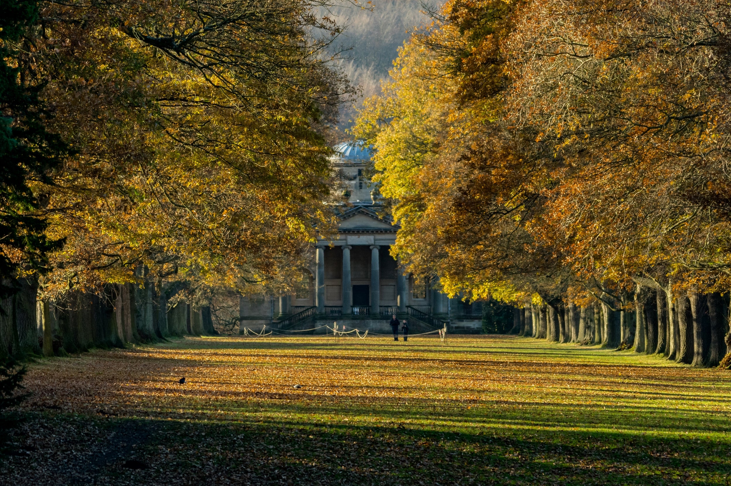 A chapel with big white columns in the middle of orange leaved oak trees