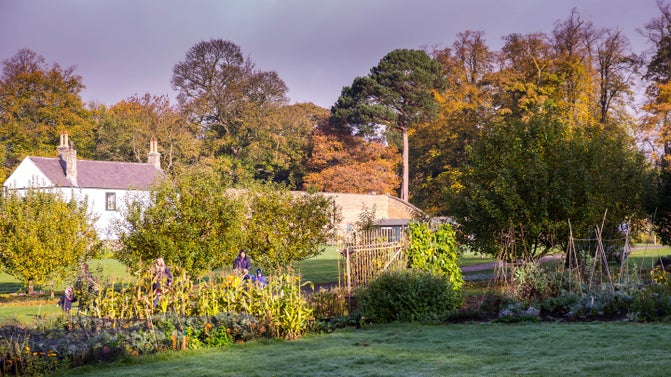 Views of the Walled Garden in autumn