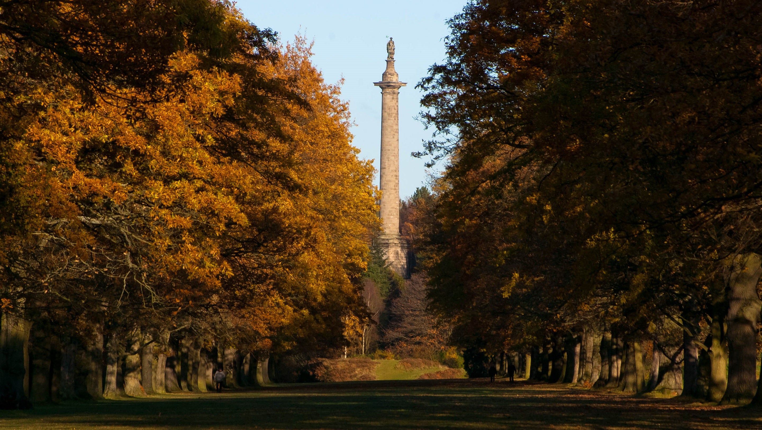 Gibside Column to Liberty in autumn