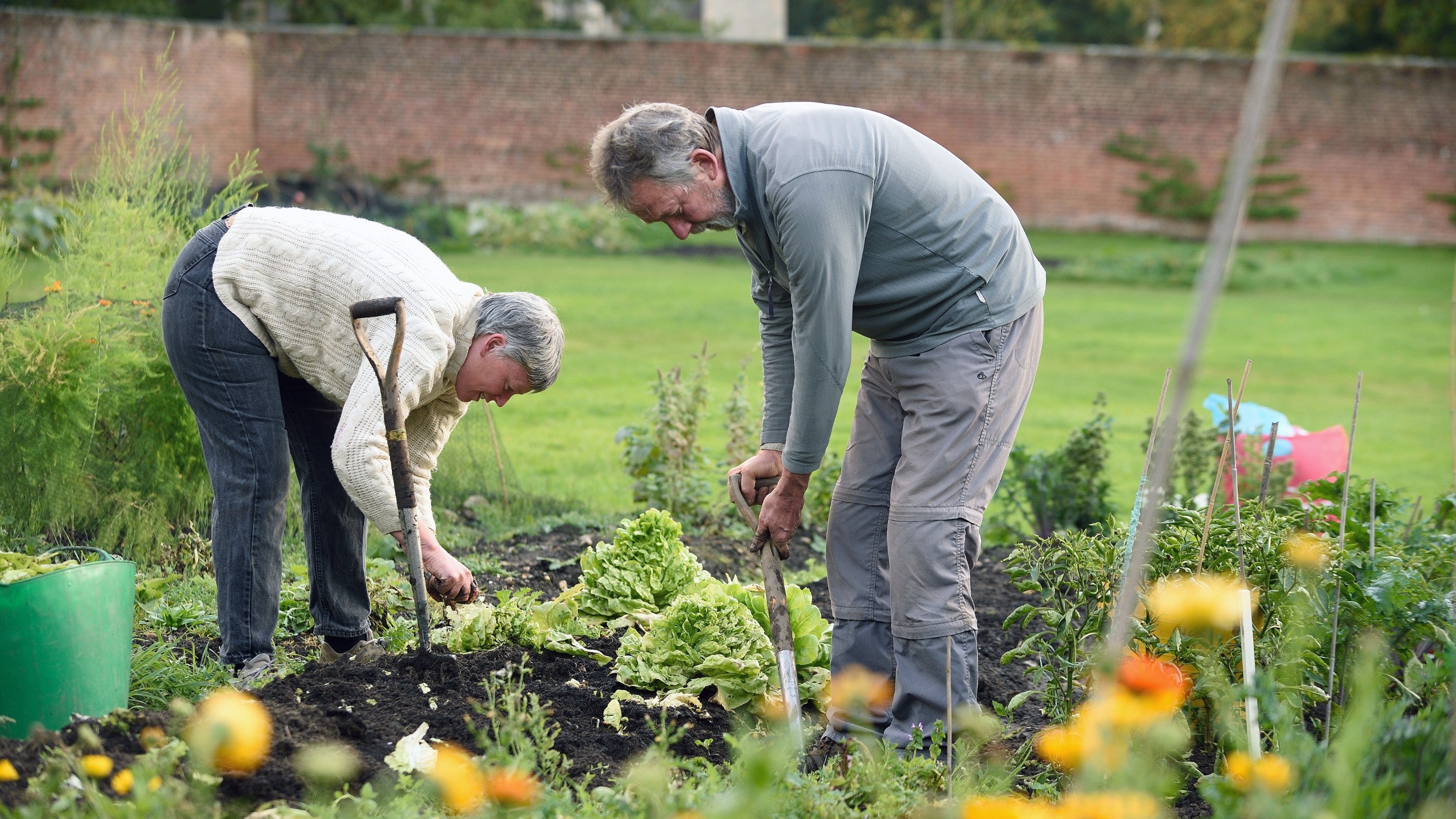 Volunteers working in the Walled Garden at Gibside, Tyne & Wear, North East