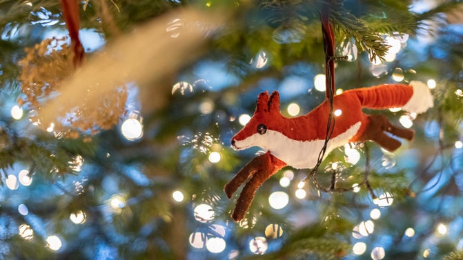 Christmas decorations shining at Gibside