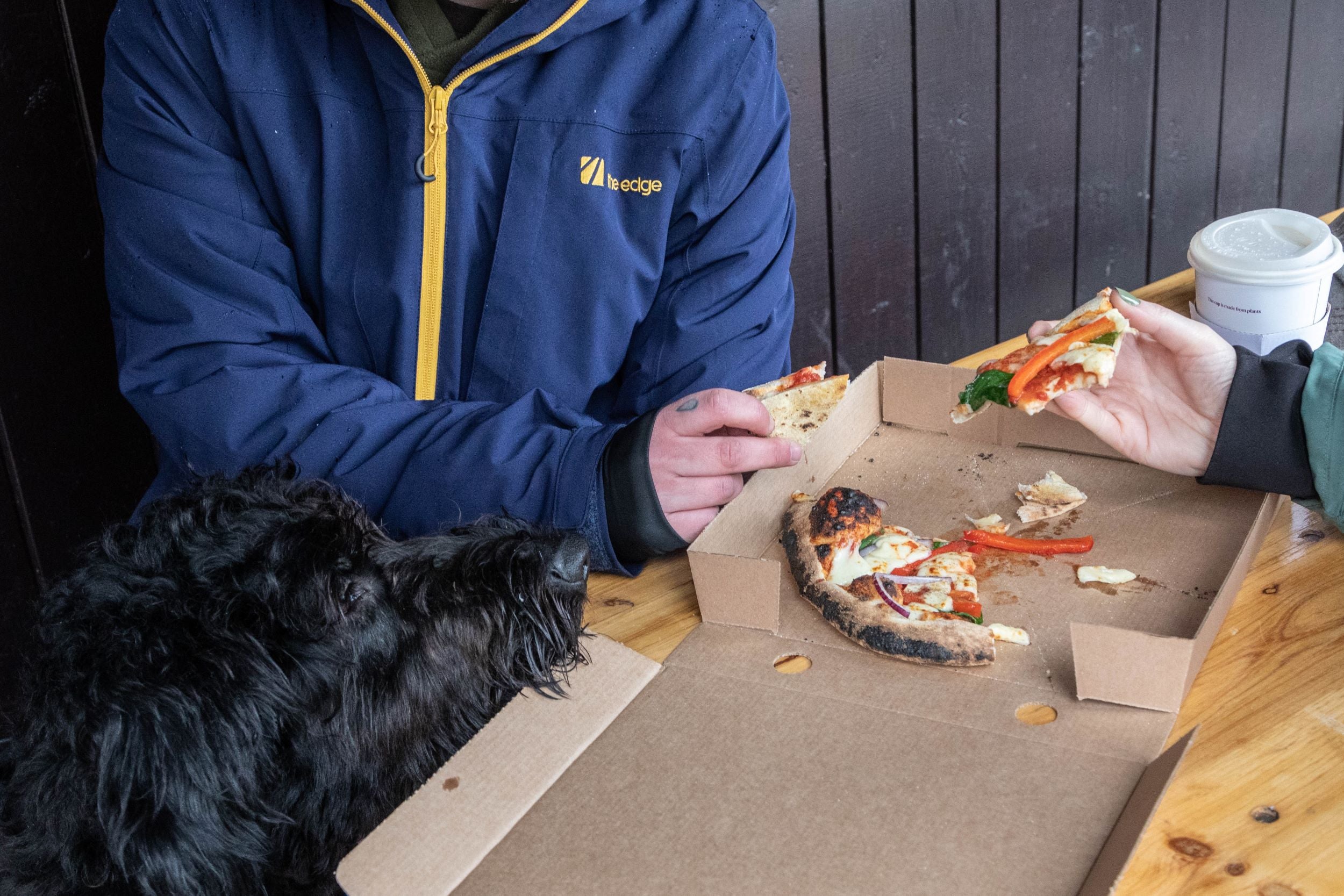 Dog sniffing a pizza at National Crust, Gibside
