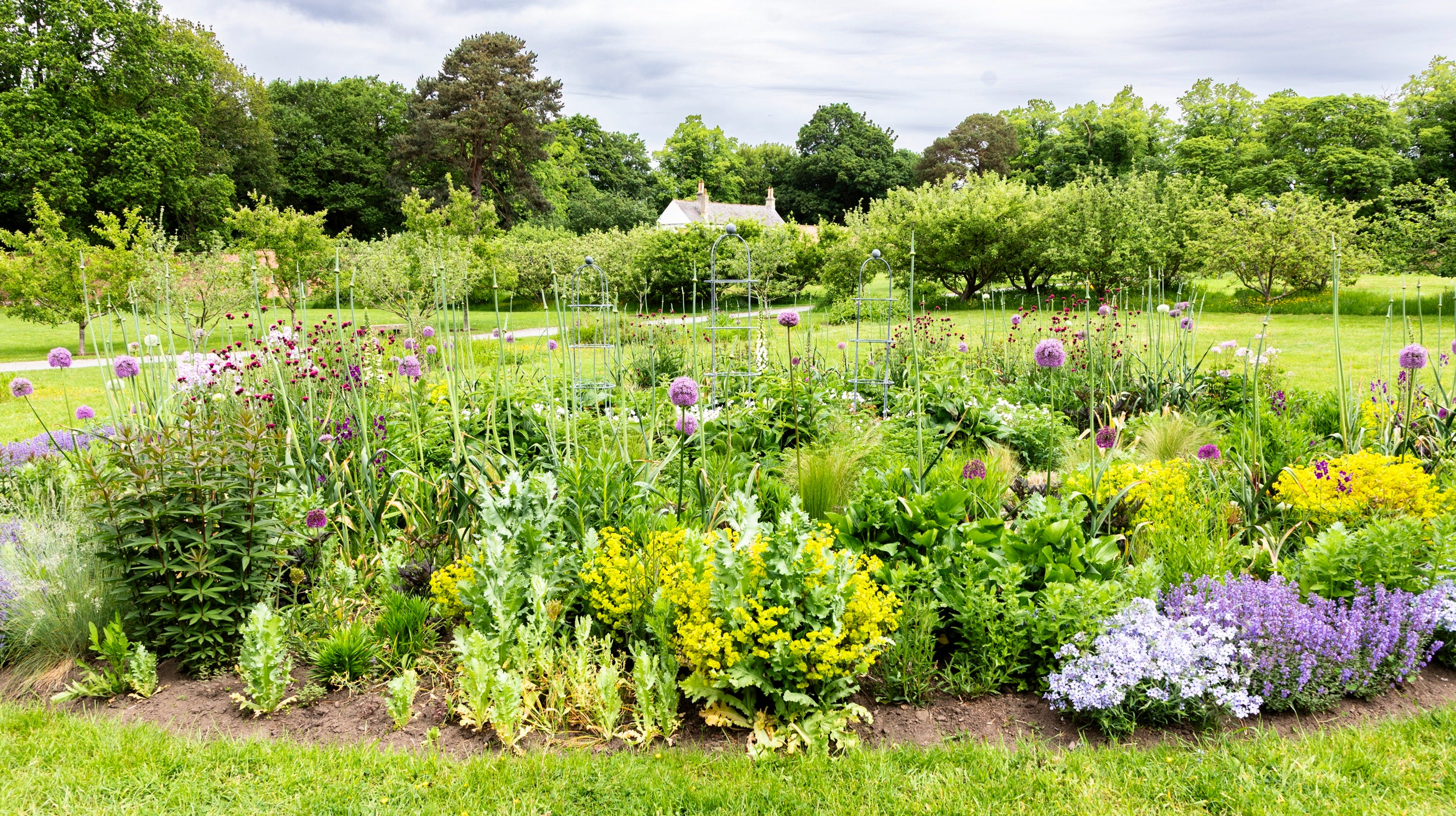 A round flower bed inspired by celestial galaxies