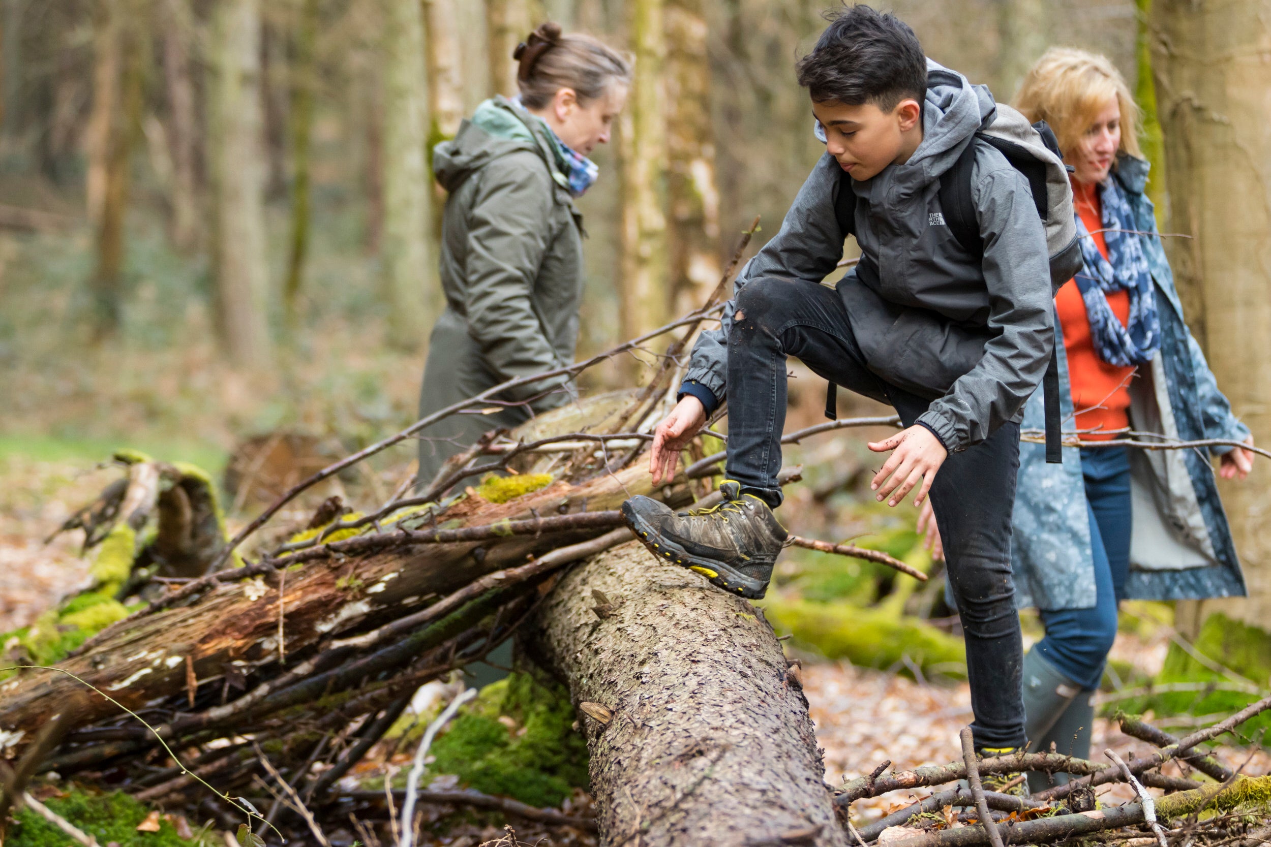 Teenager building a den in the West Wood