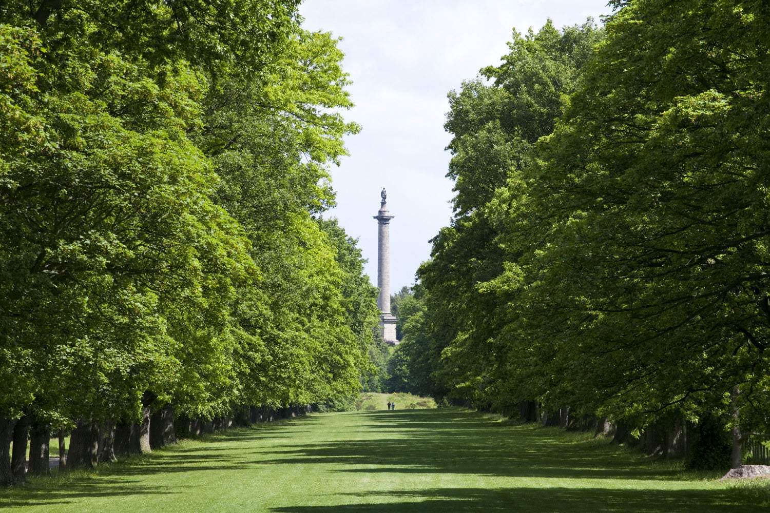 View down the Long Walk towards the Column to Liberty rising 140 feet above the estate at Gibside, Newcastle upon Tyne View down the Long Walk towards the Column to Liberty rising 140 feet above the estate at Gibside, Newcastle upon Tyne