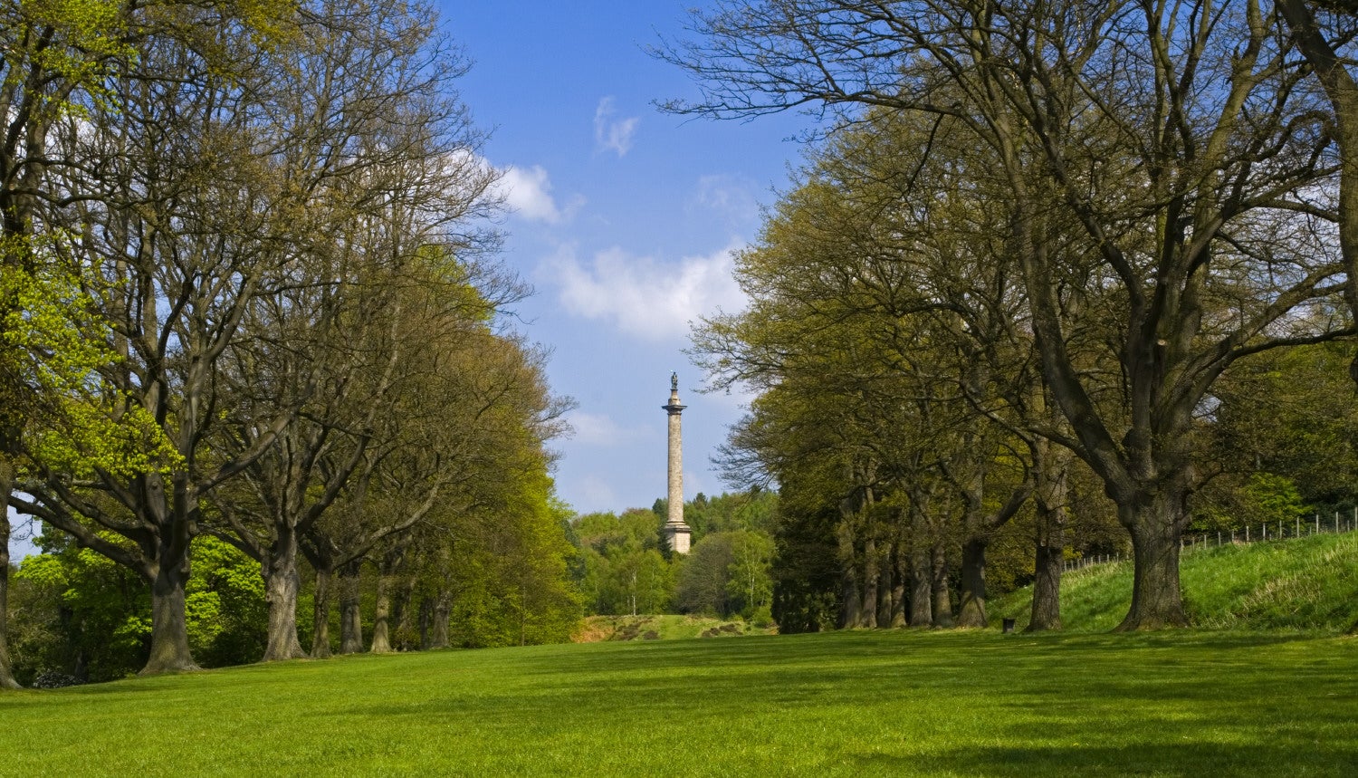 View of the Column to Liberty from the Avenue in spring