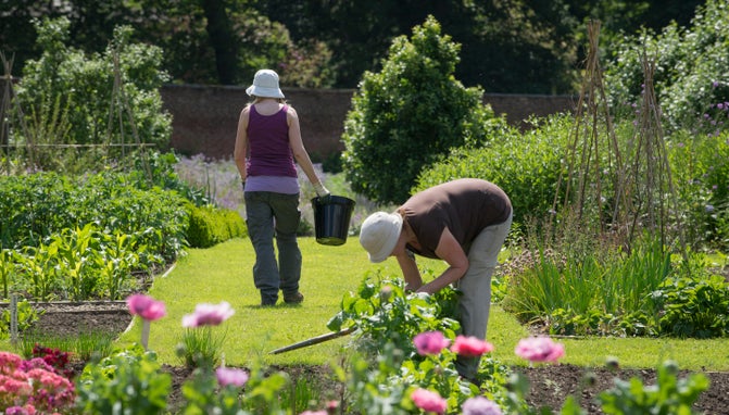 Volunteers tending the summer borders in Gibside Walled Garden