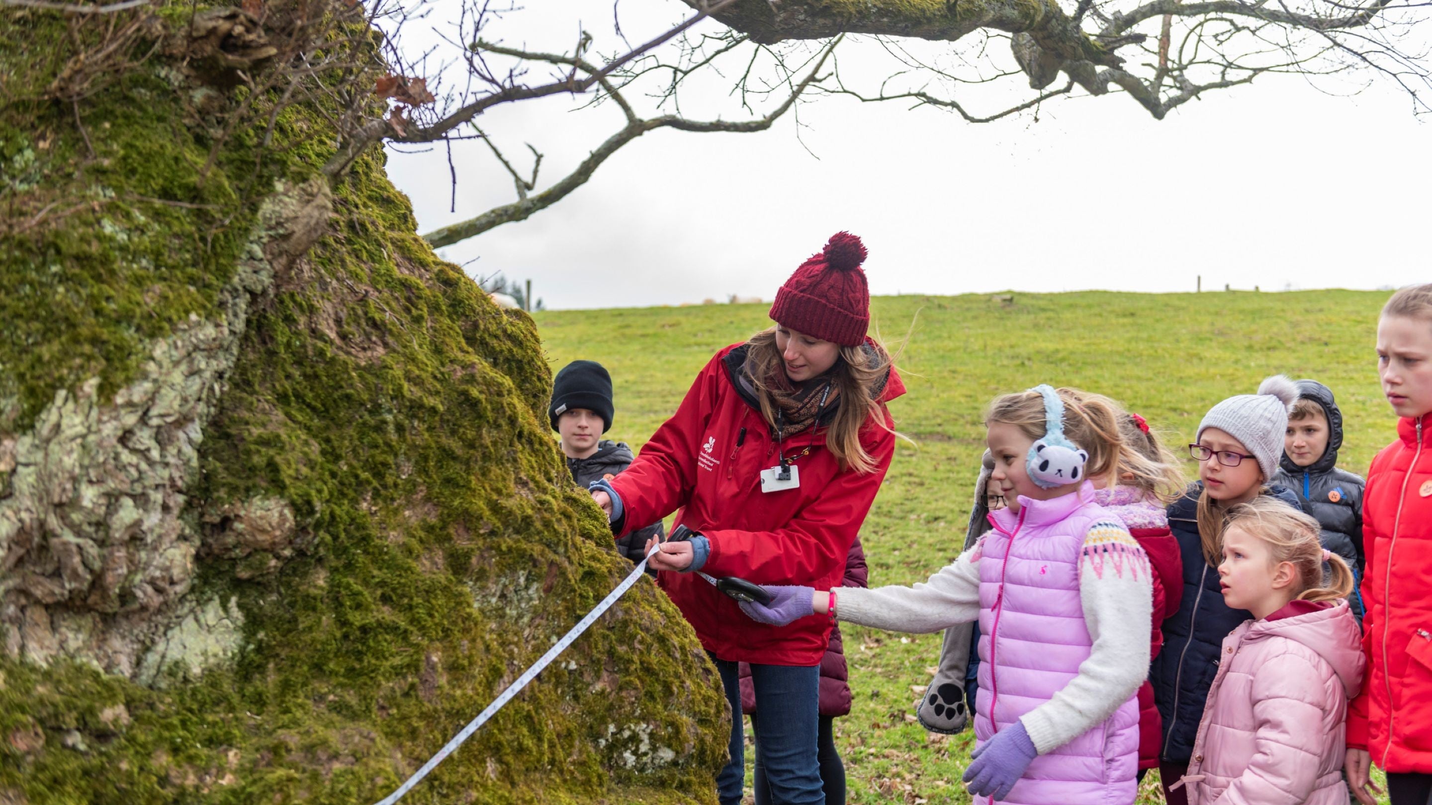 Children measuring a tree