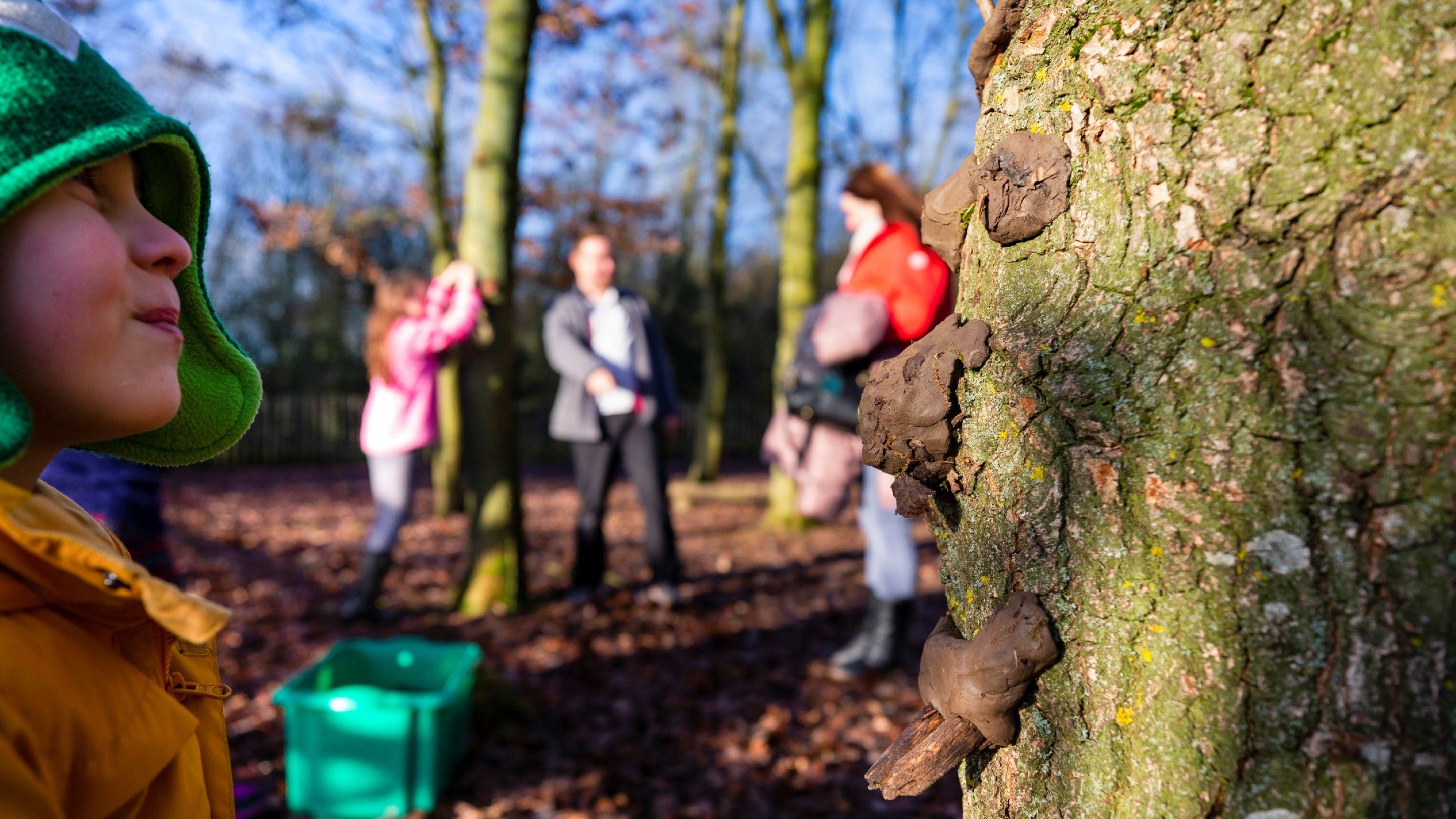Making wild art in the woodland