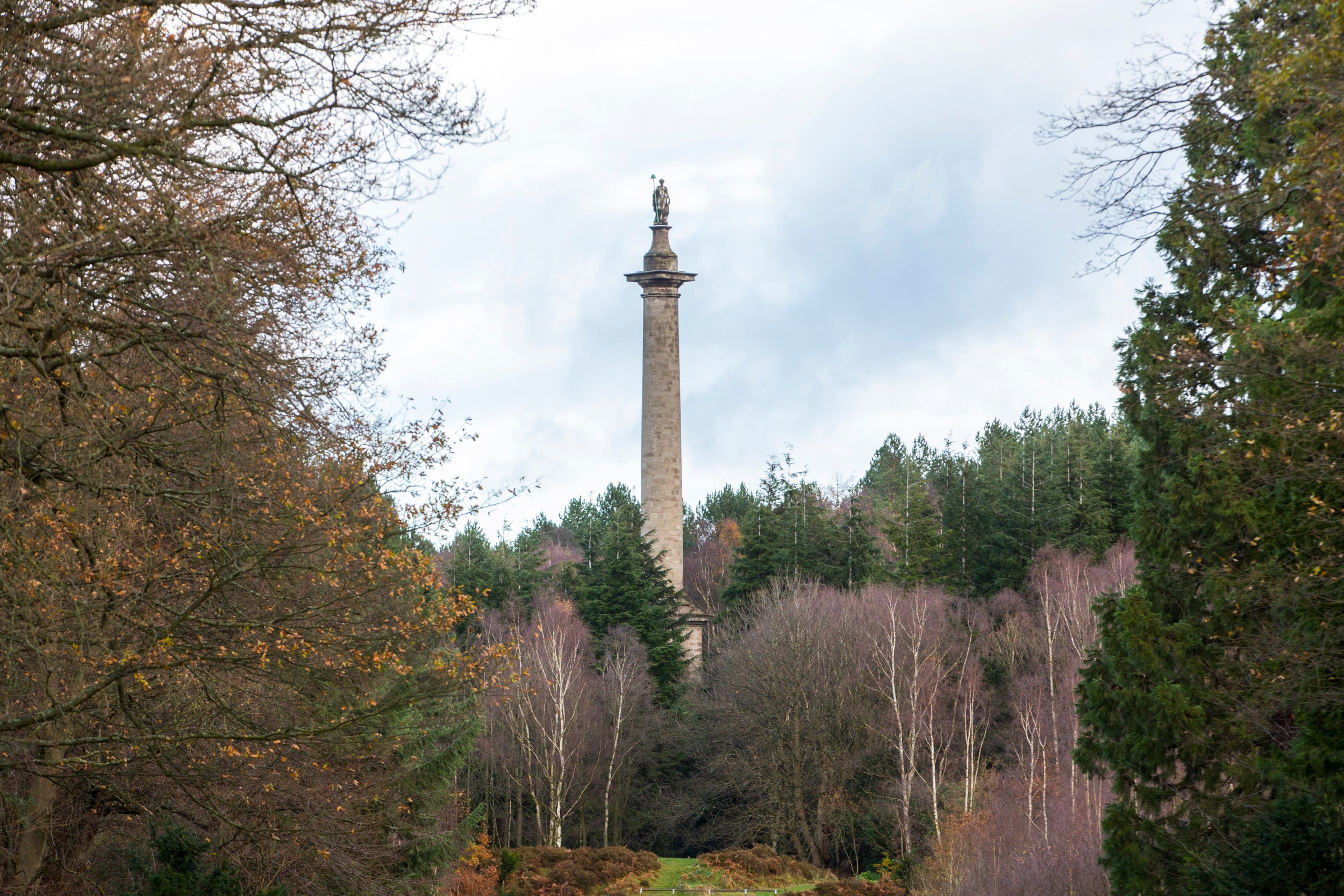 View through the trees towards the Column to Liberty, rising above the treeline