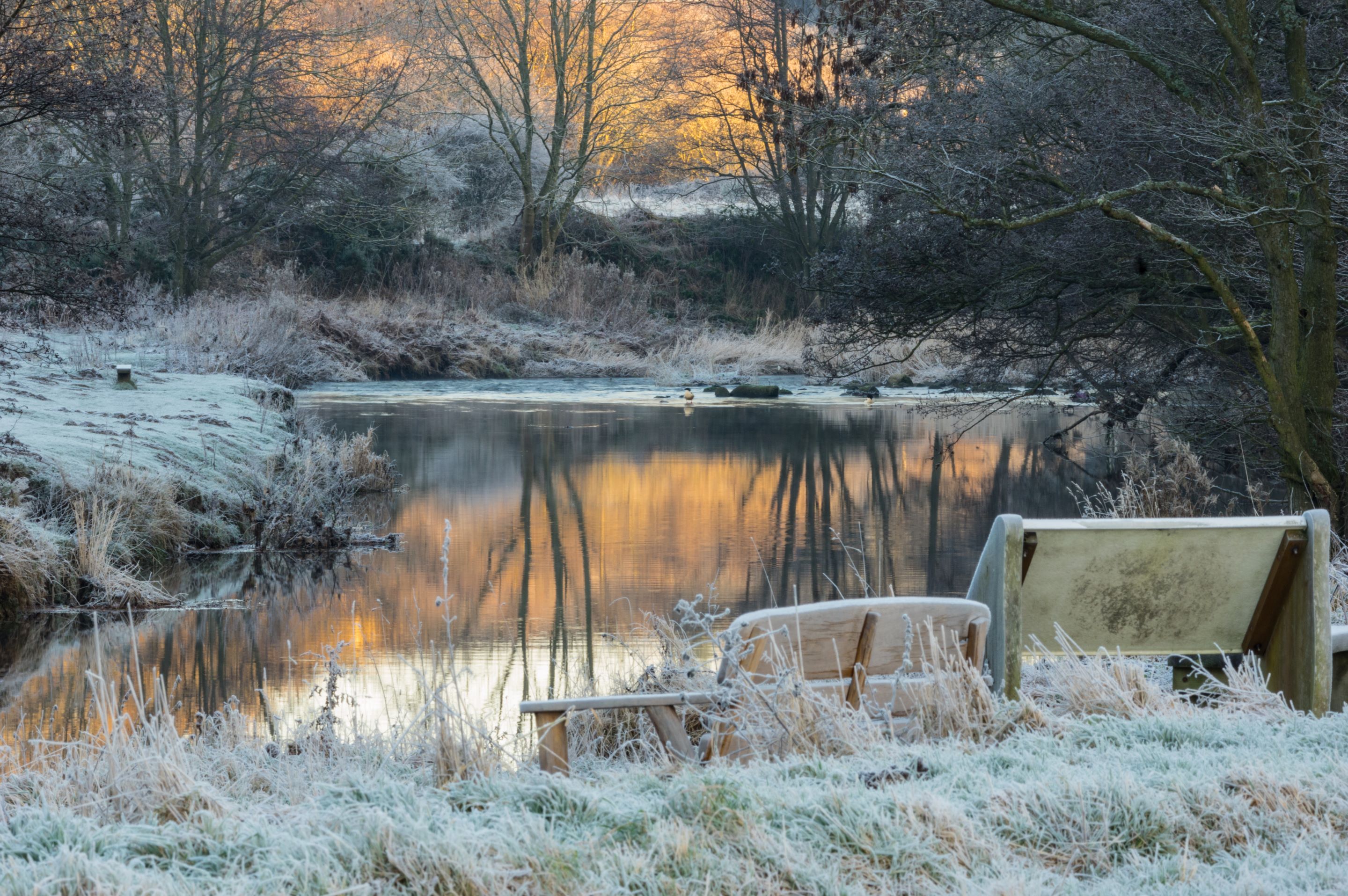 View over the frosty grass to the pond at Gibside with the reflection of an orange sky.