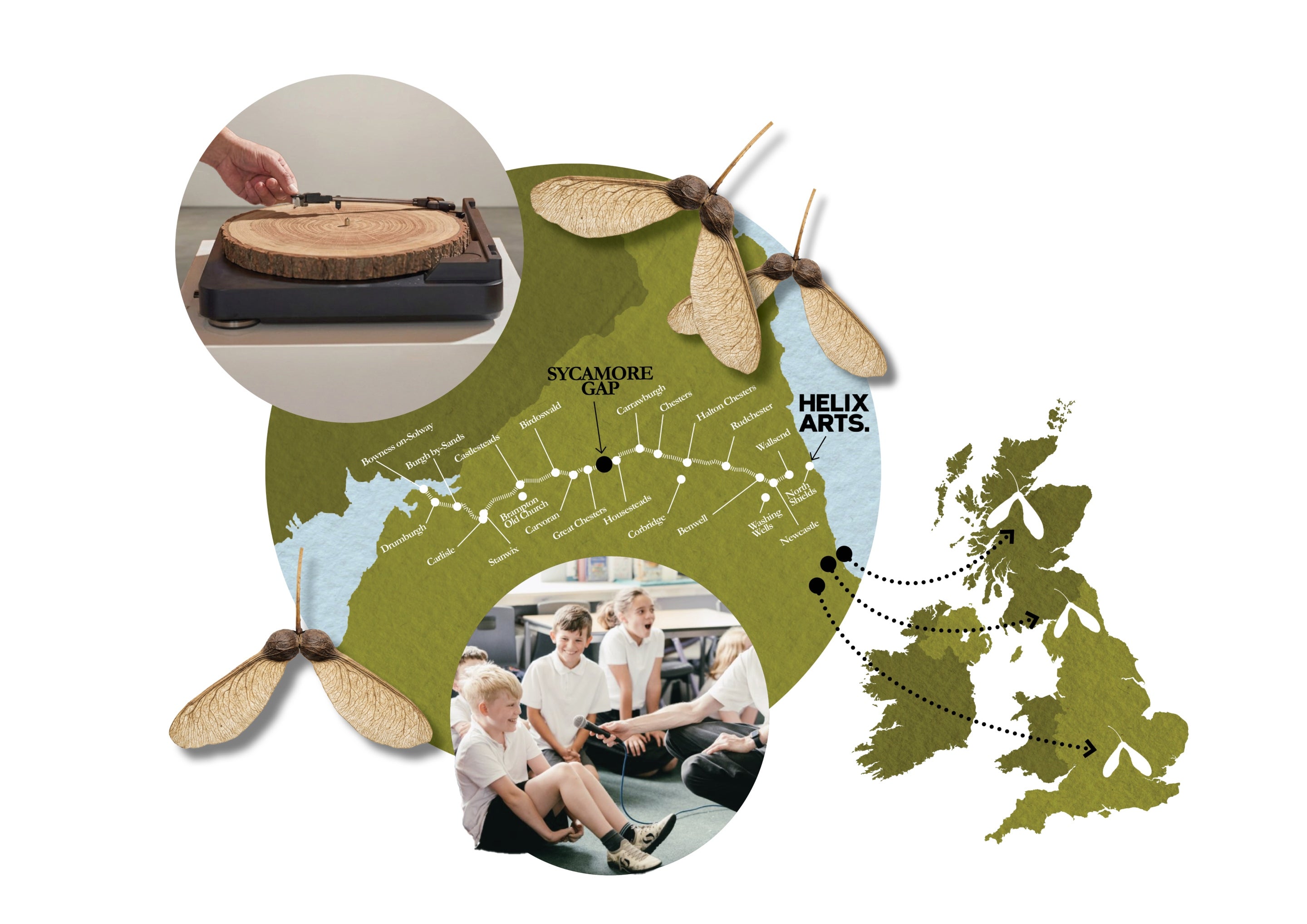 A collage including a map of the UK showing the Sycamore Gap tree's legacy reaching nationwide, a record player with a wooden tree ring as the platter, school children participating in a workshop, and sycamore seeds.
