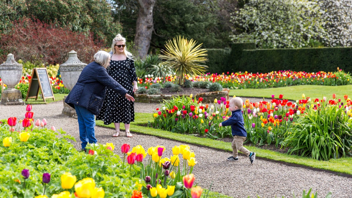 Visiting Ormesby Hall garden N Yorkshire National Trust