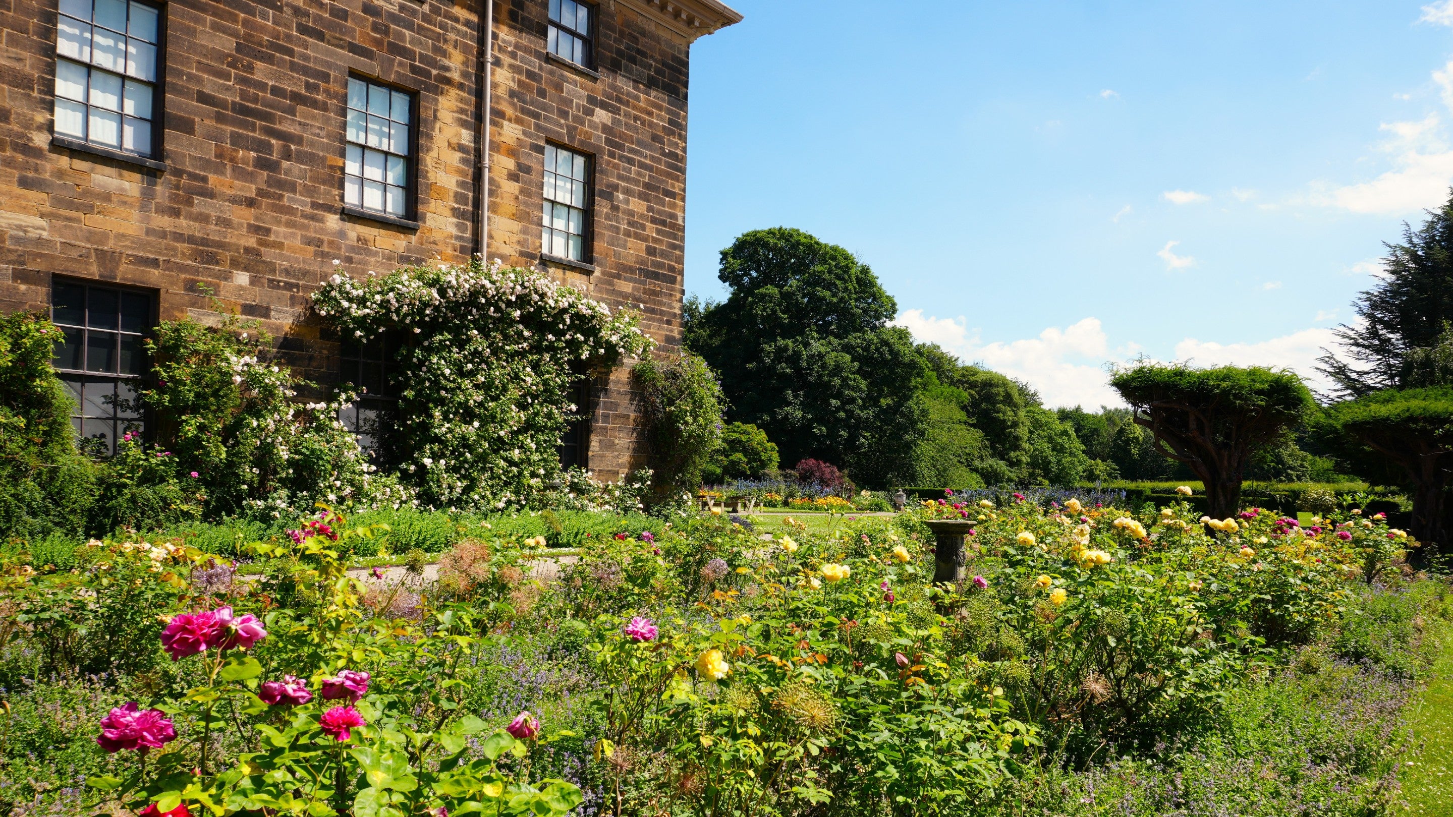 Colourful roses in the borders in front of Ormesby Hall