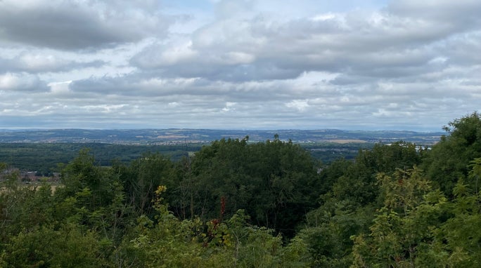 A wide view from the top of Penshaw Hill looks out over leafy treetops towards distant fields and buildings beneath a sky filled with fluffy white and grey clouds