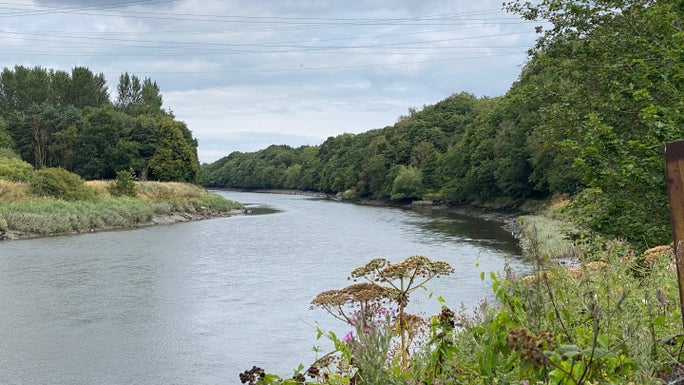A wide, slow flowing section of the River Wear bends to the left, reflecting a bright but grey summer sky. Plants and grass cover both banksides in the foreground, turning to dense trees into the distance.